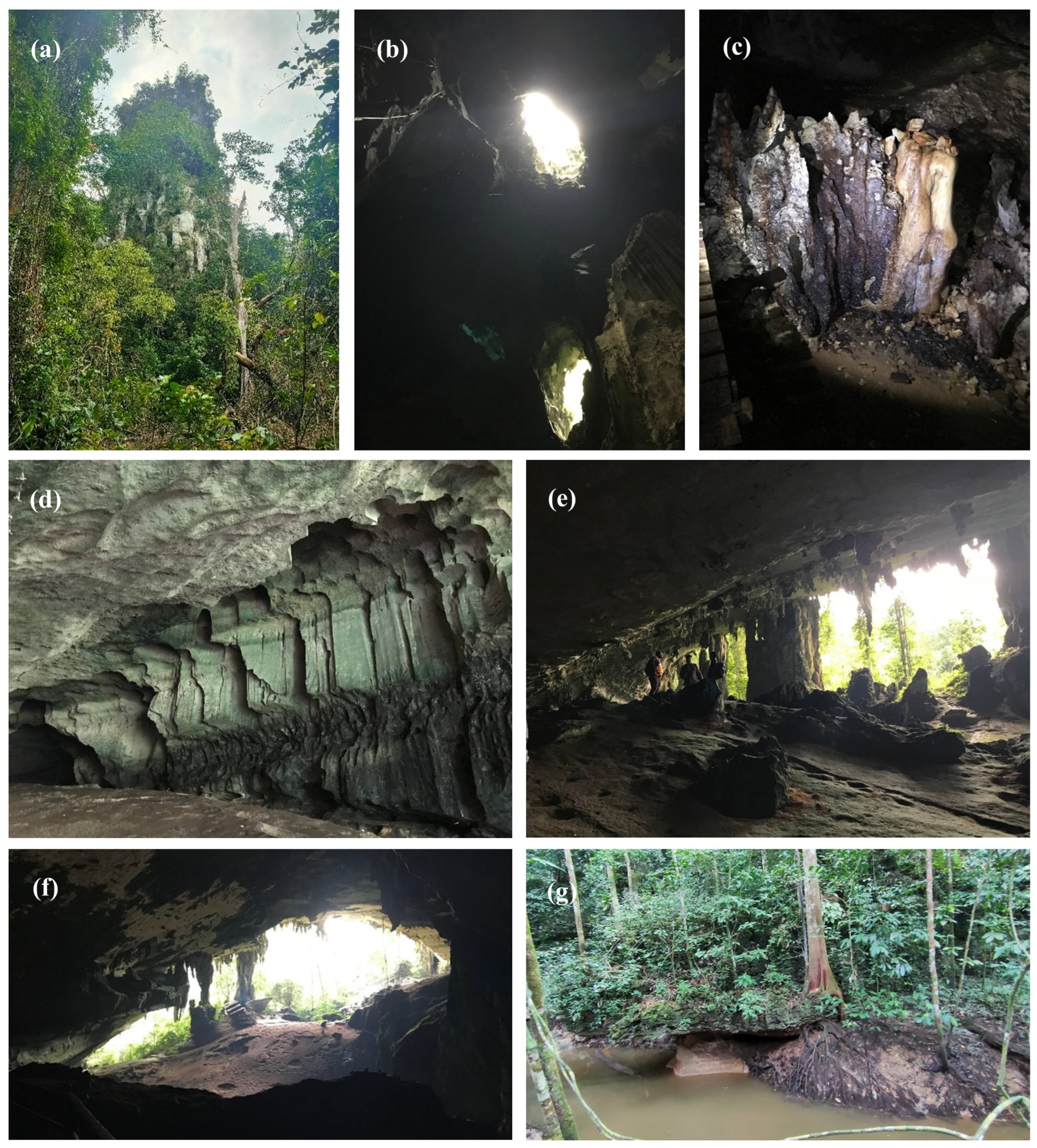 Applied Sciences | Free Full-Text | Fracture Network Analysis of Karstified  Subis Limestone Build-Up in Niah, Sarawak