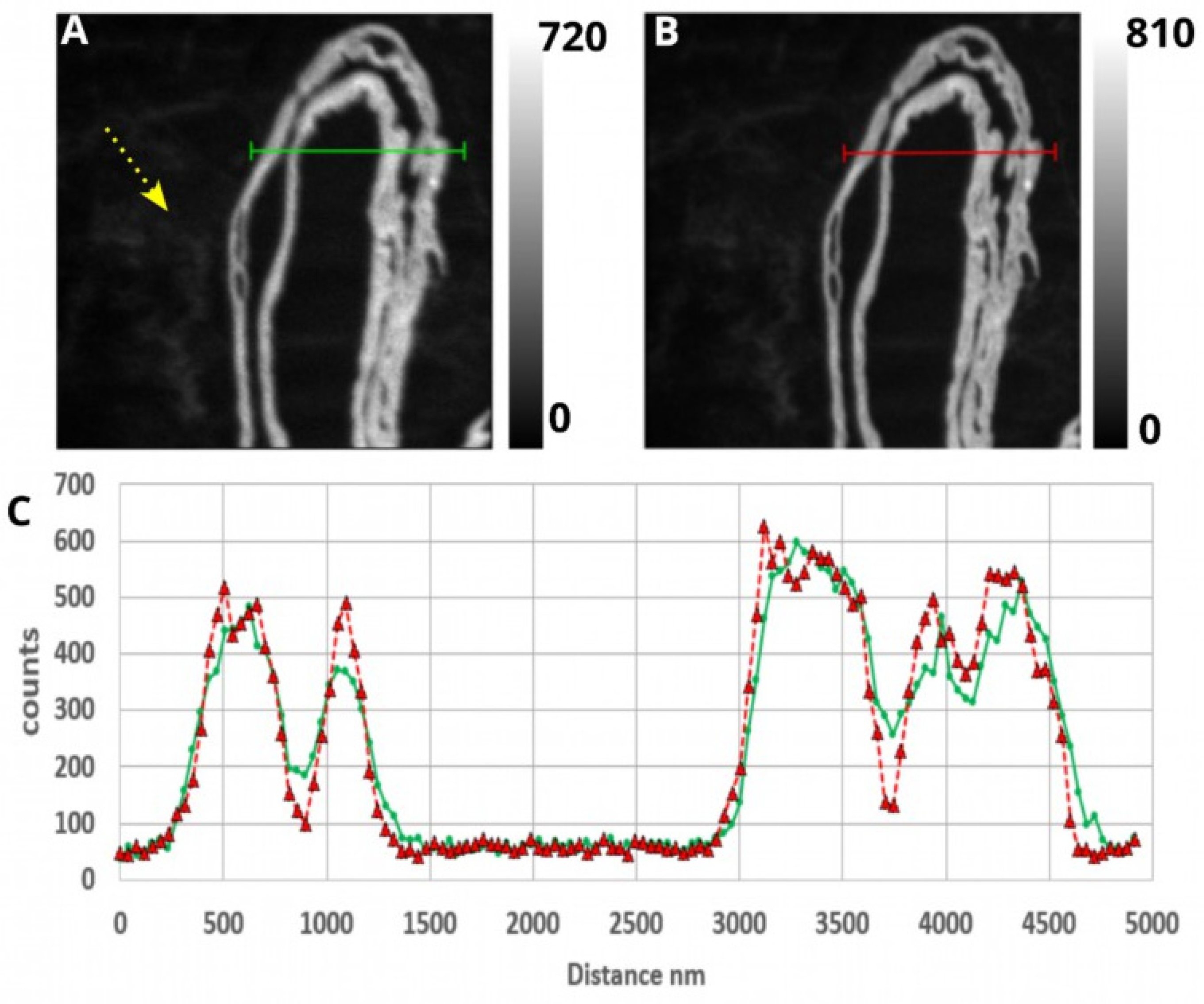Applsci 13 12189 g002 Applsci 13 12189 g002