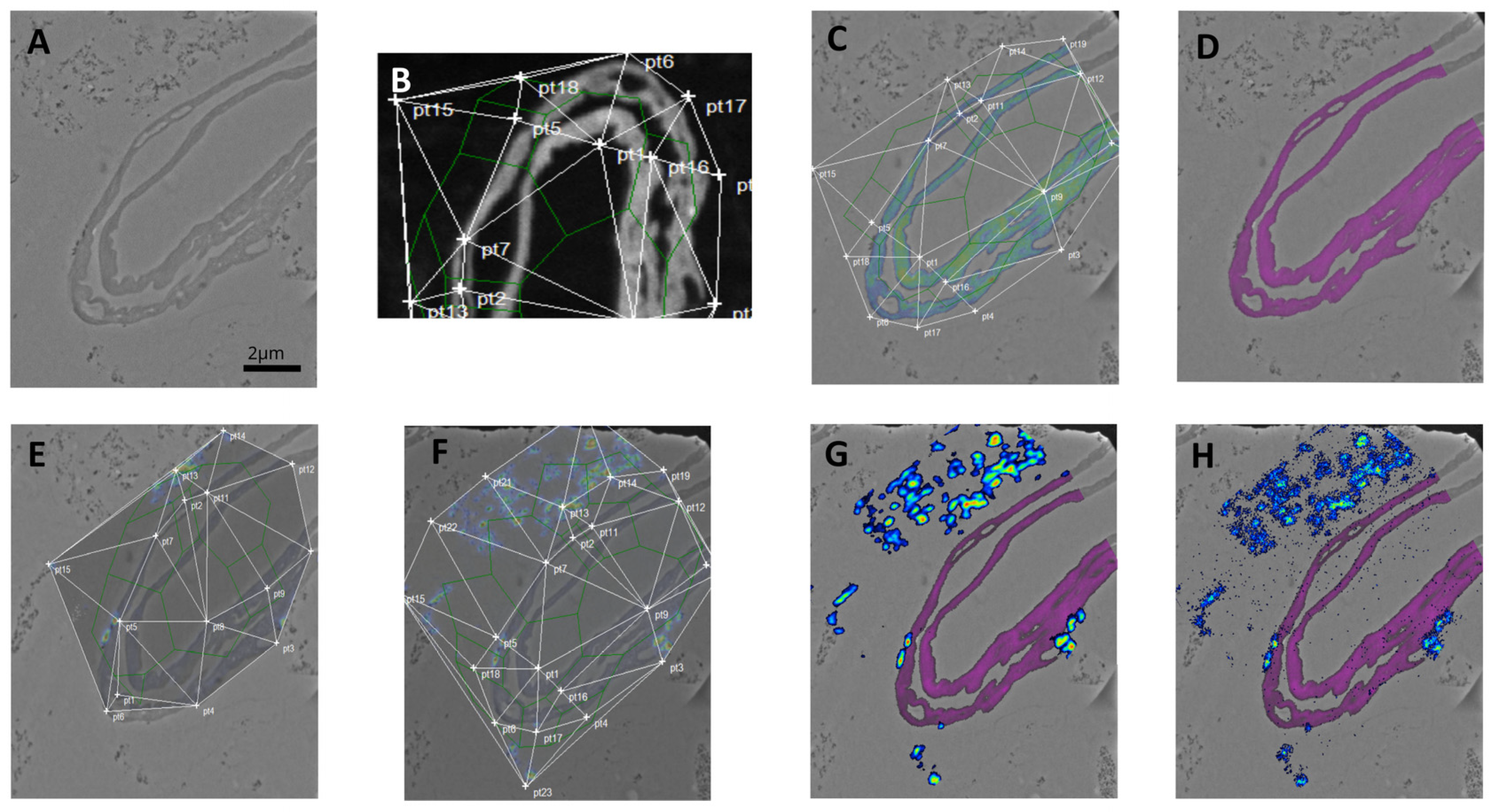 Applsci 13 12189 g003 Applsci 13 12189 g003