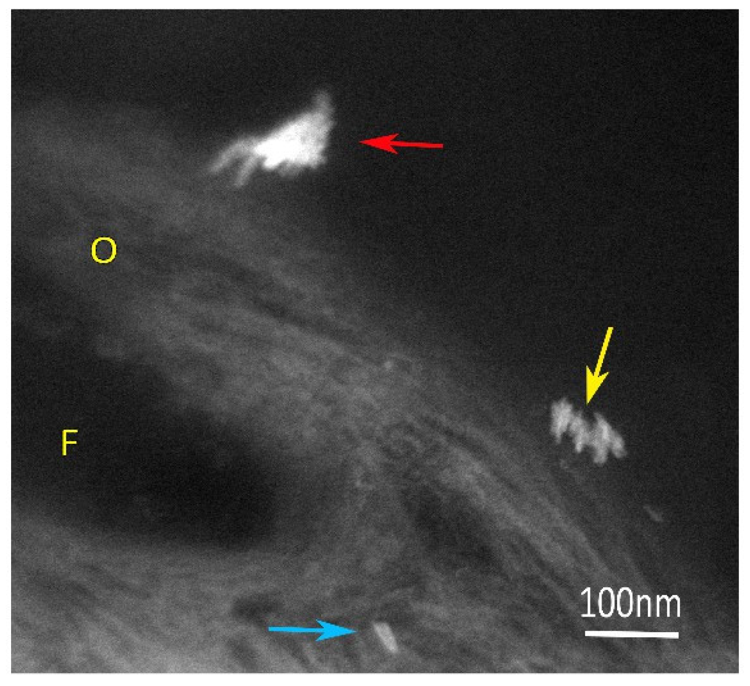 Applsci 13 12189 g005 Applsci 13 12189 g005