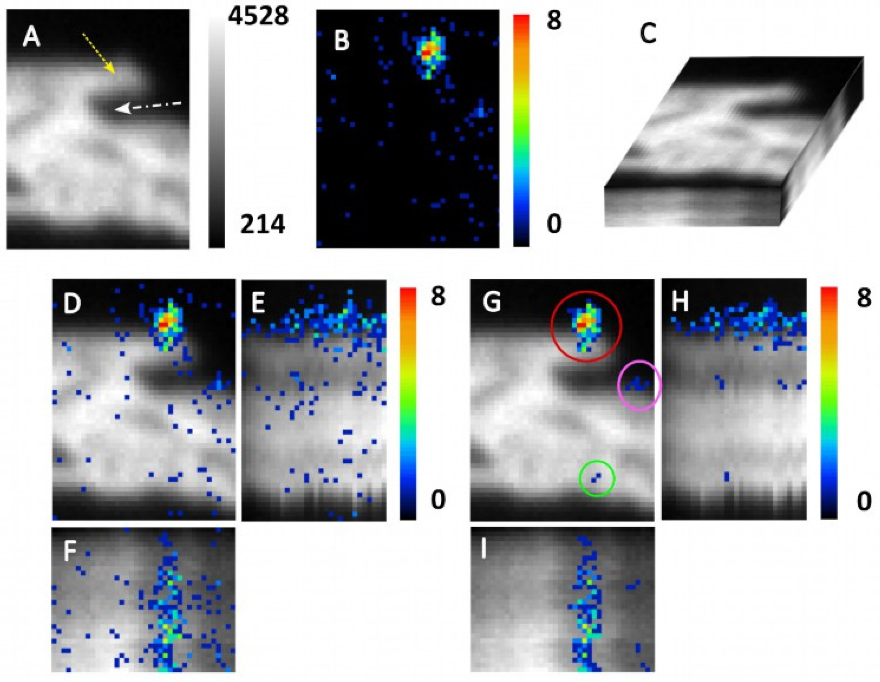 Applsci 13 12189 g006 Applsci 13 12189 g006