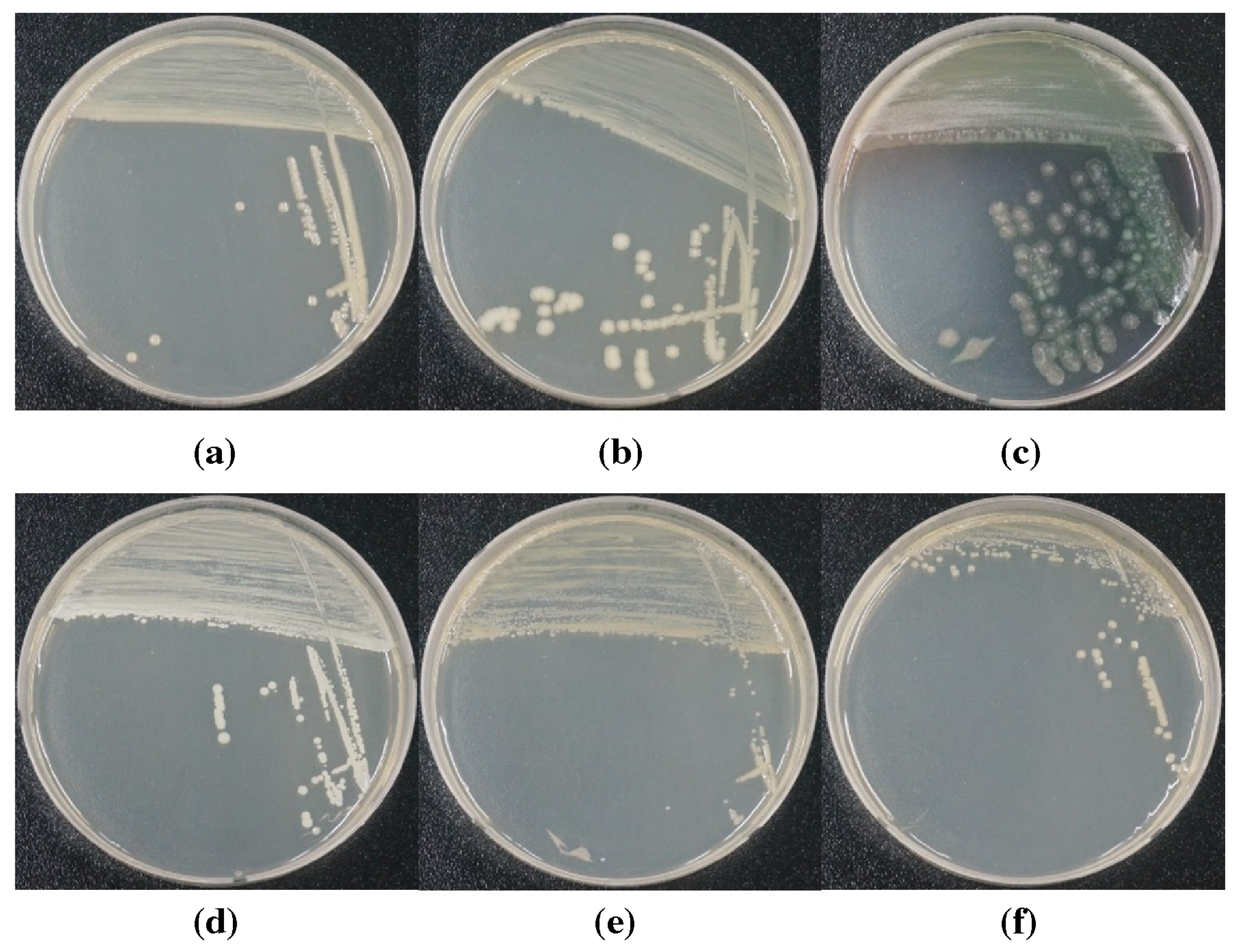 Applsci 13 12302 g005