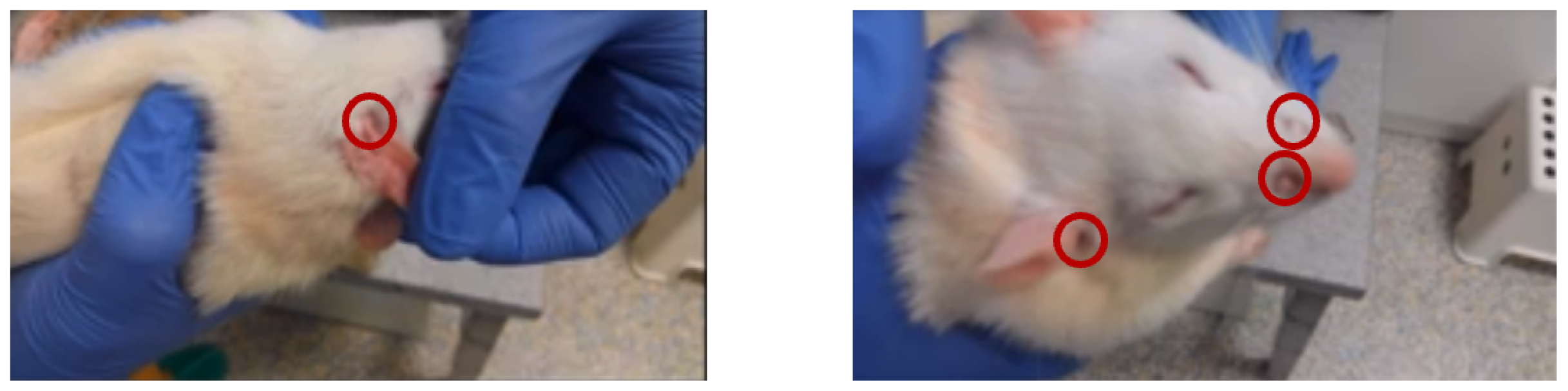 Applsci 13 12329 g003 Applsci 13 12329 g003