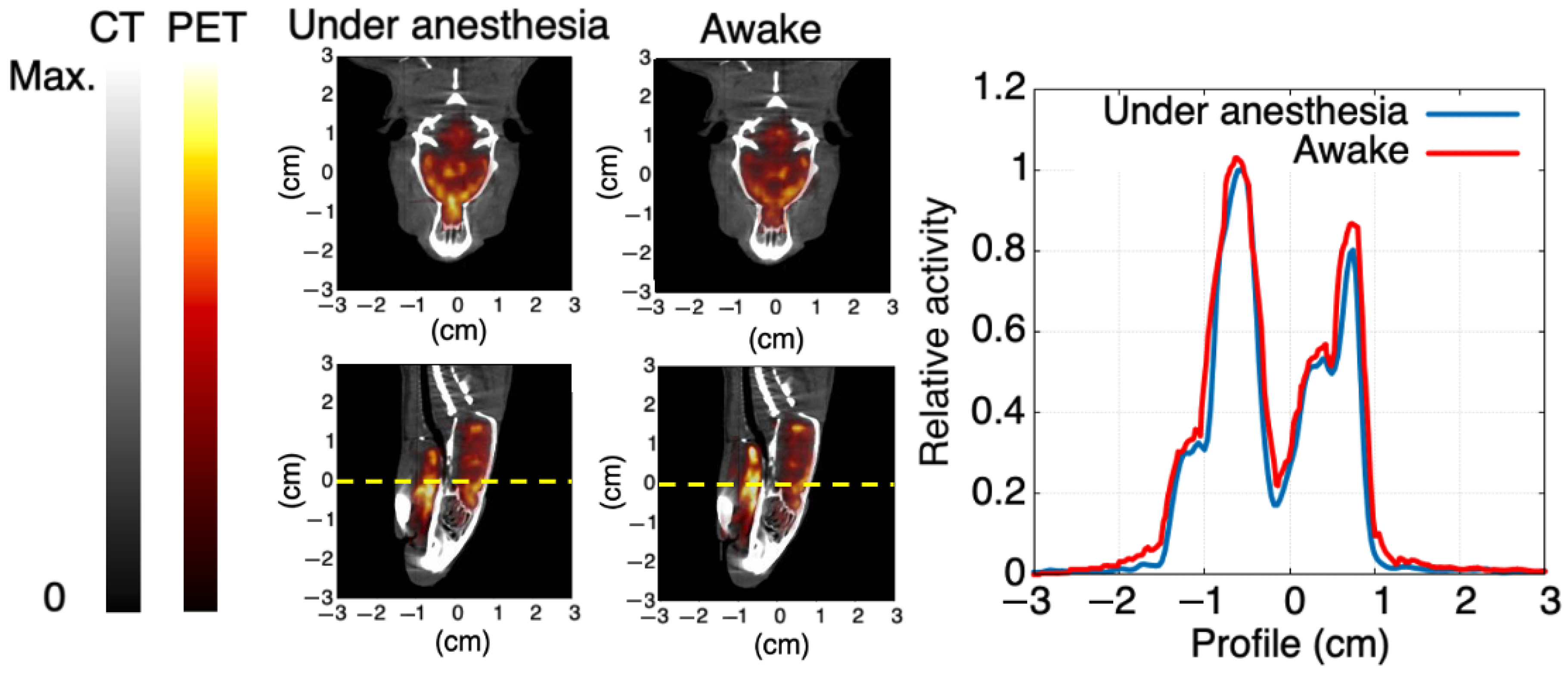 Applsci 13 12329 g010 Applsci 13 12329 g010