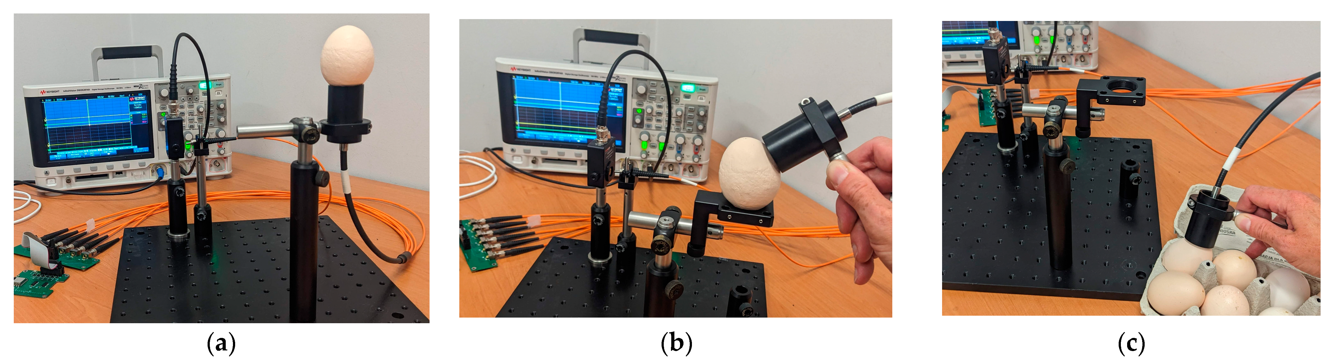 https://www.mdpi.com/applsci/applsci-13-12360/article_deploy/html/images/applsci-13-12360-g001.png