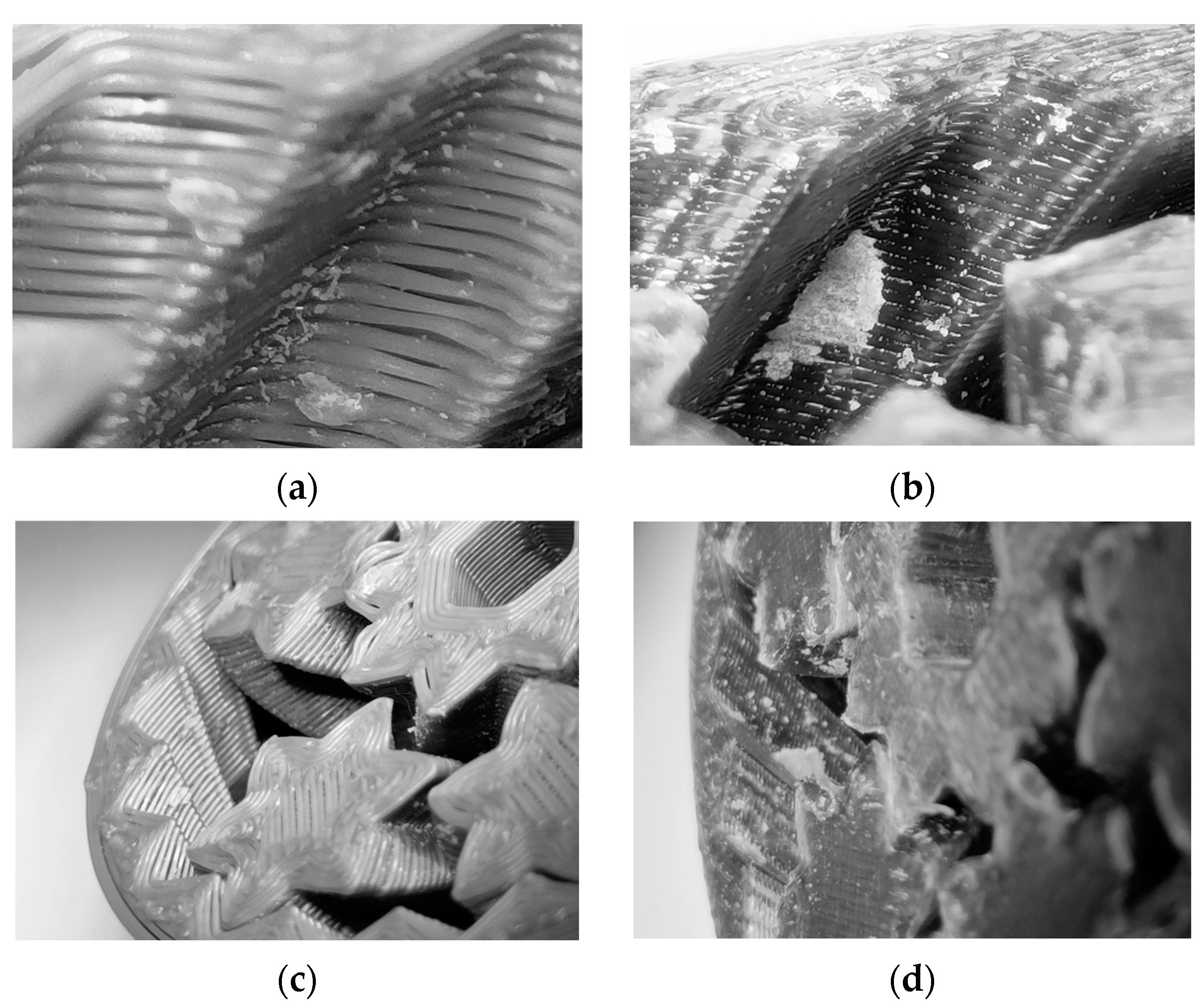 Applsci 13 12383 g012