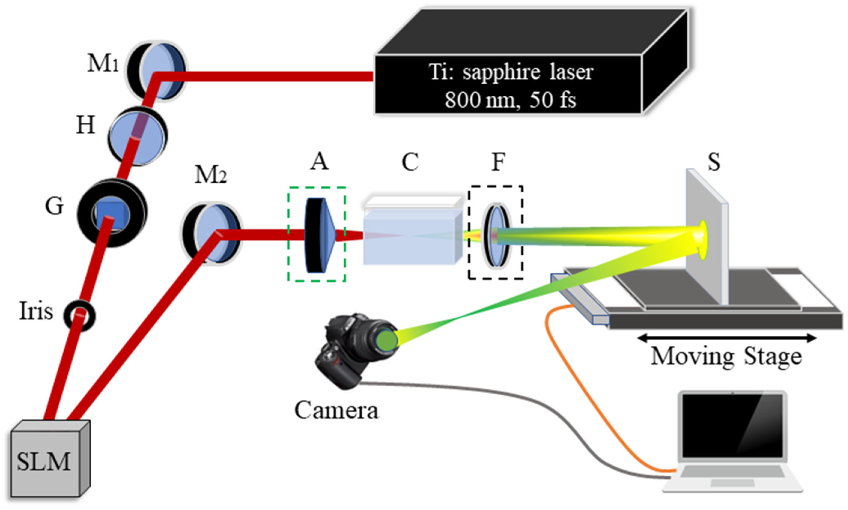 Schematic illustration of the water vortex.