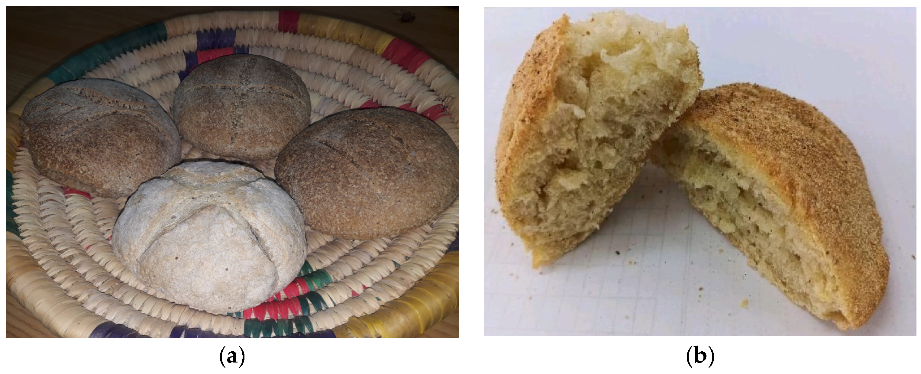 Applsci 13 12453 g003