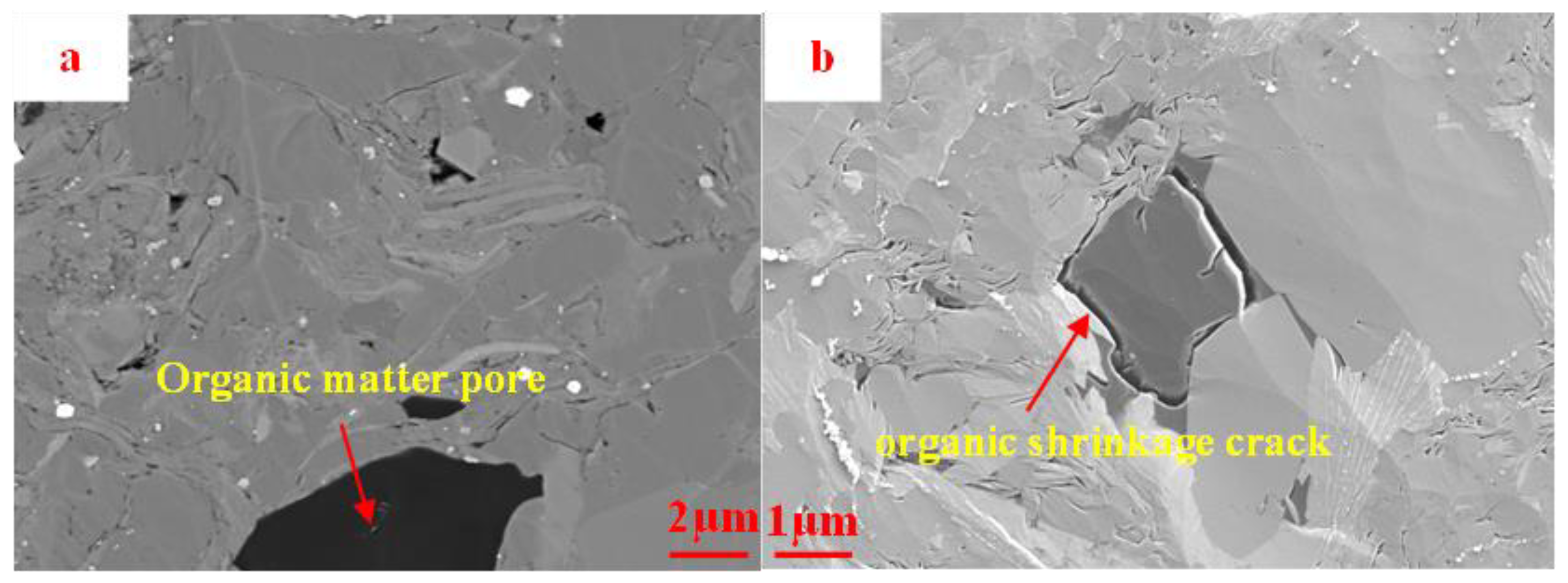 Applsci 13 12484 g003