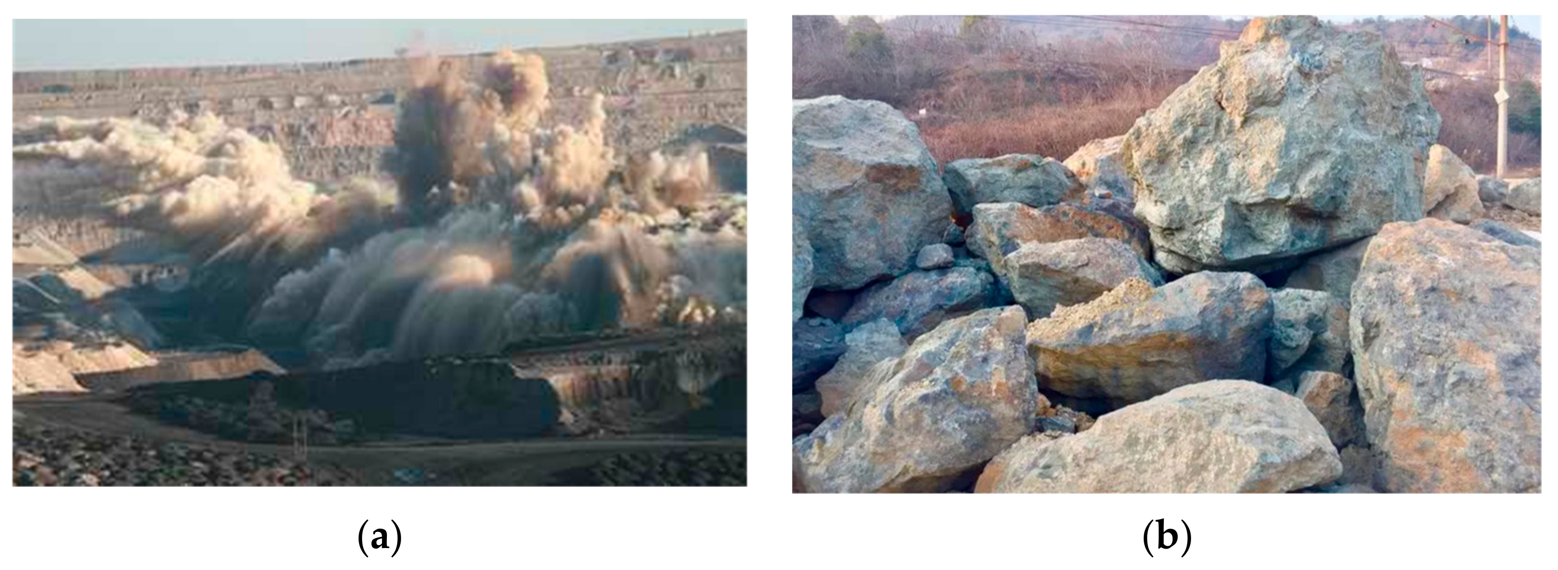 Applsci 13 12558 g001