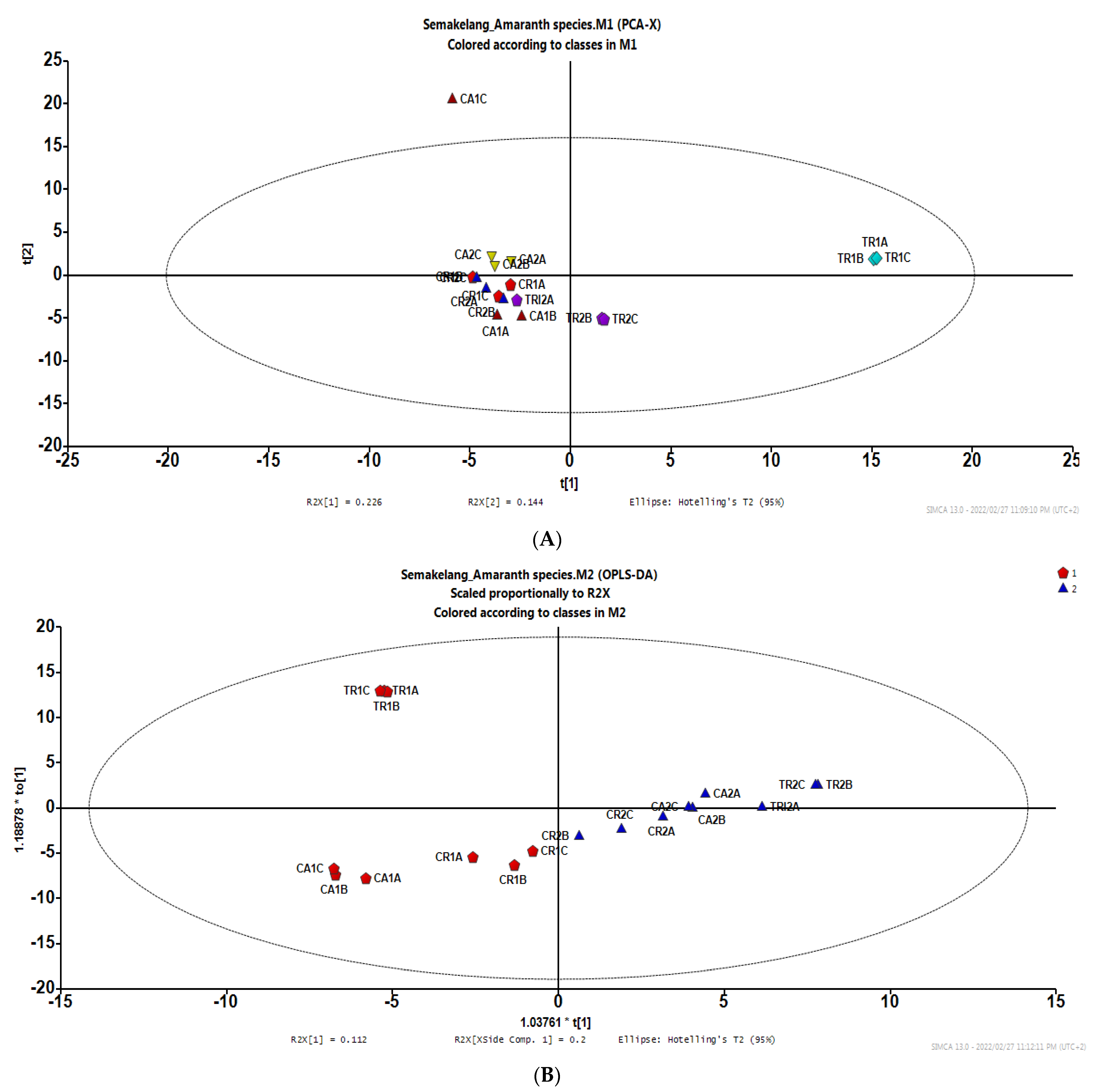 Applsci 13 12574 g005