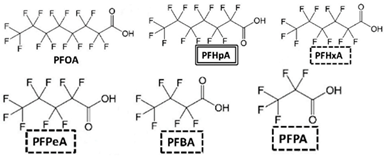 Applsci 13 12631 i008