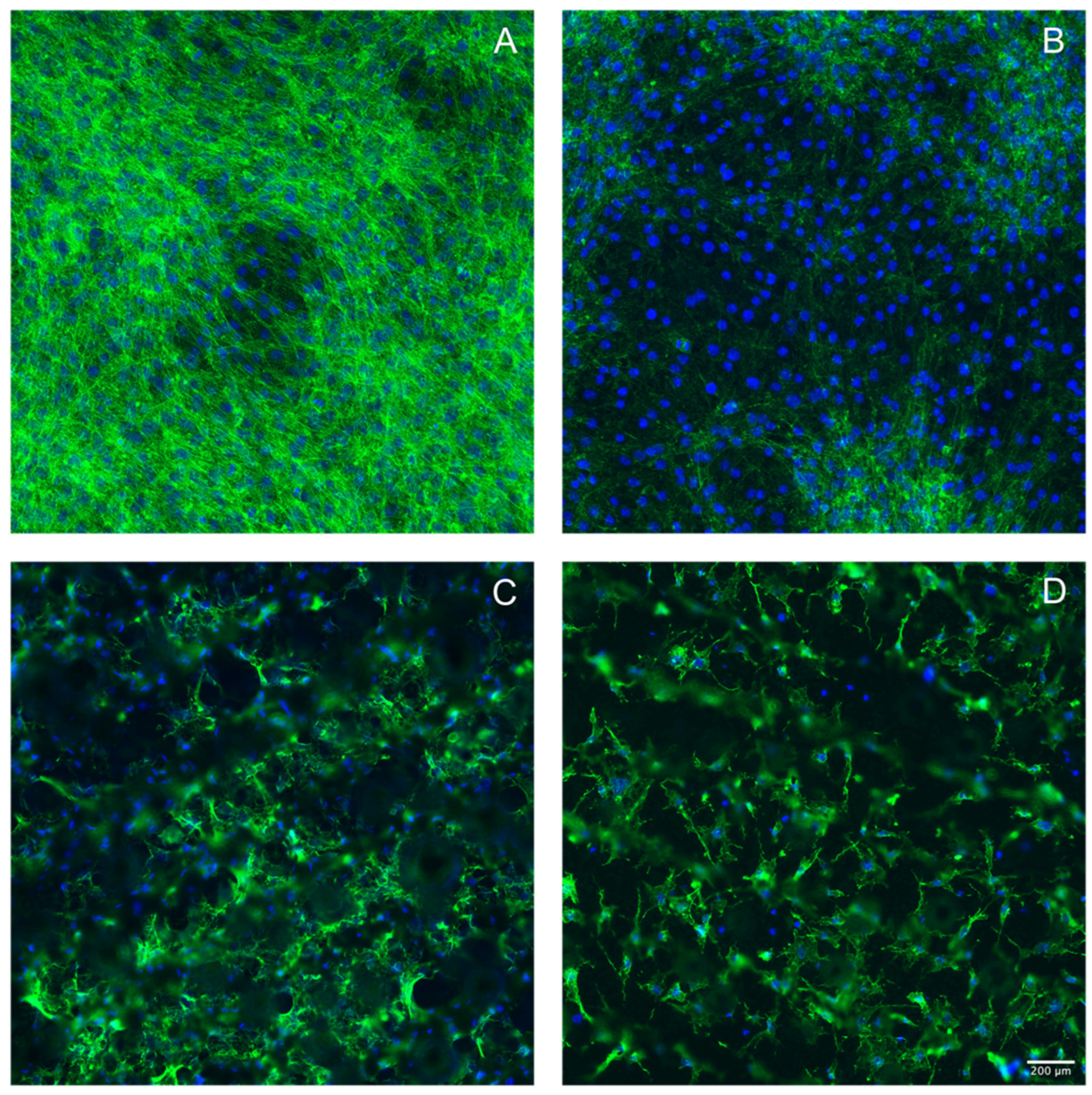 Applsci 13 12646 g002