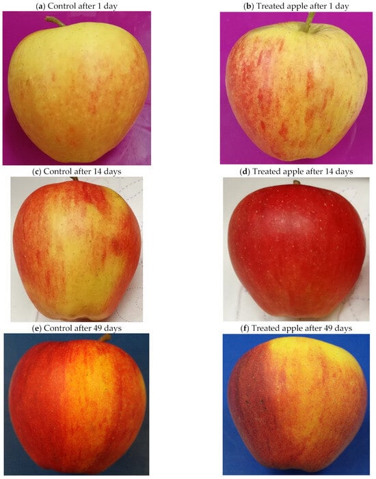 https://www.mdpi.com/applsci/applsci-13-12654/article_deploy/html/images/applsci-13-12654-g008a-550.jpg