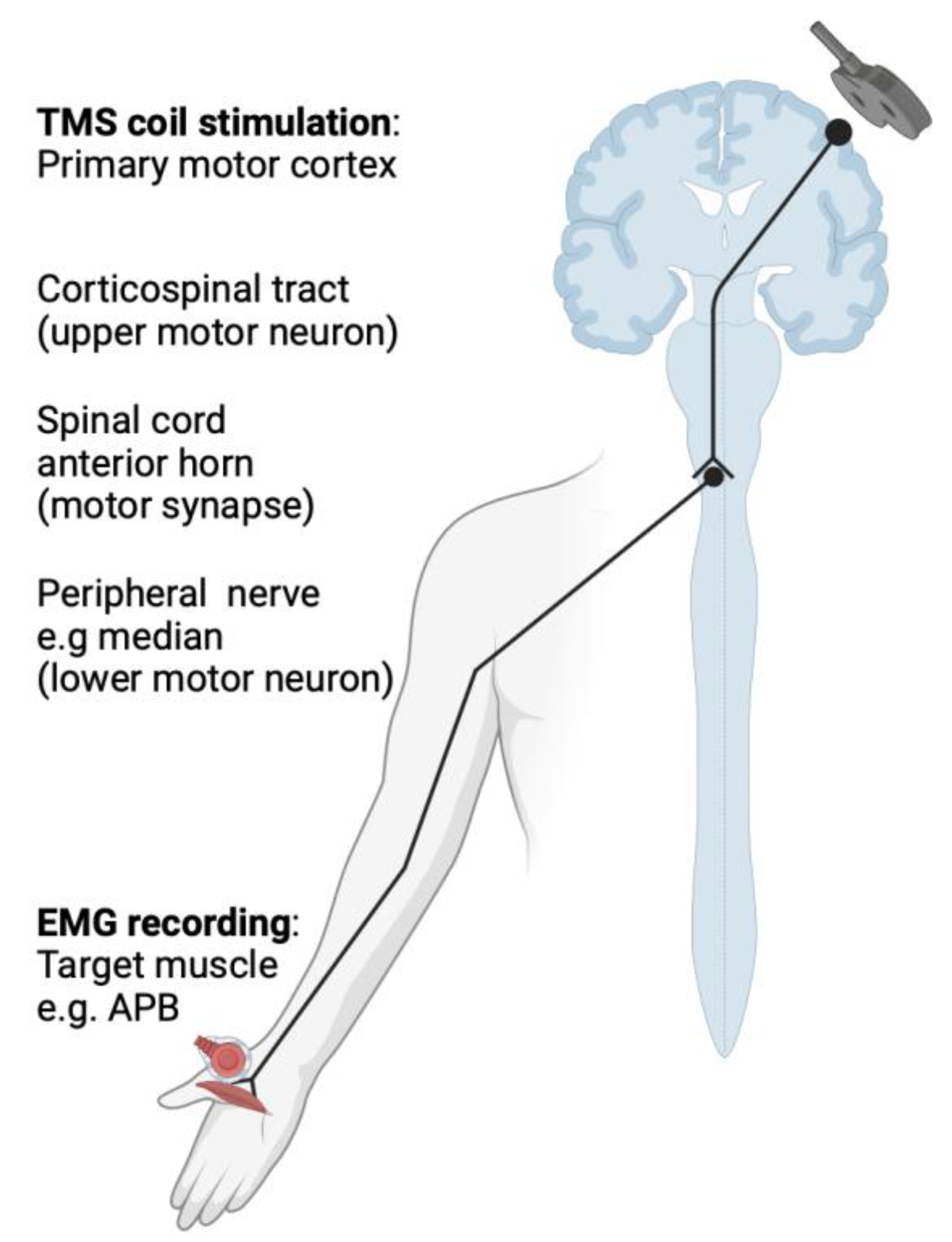 Applsci 13 12679 g001