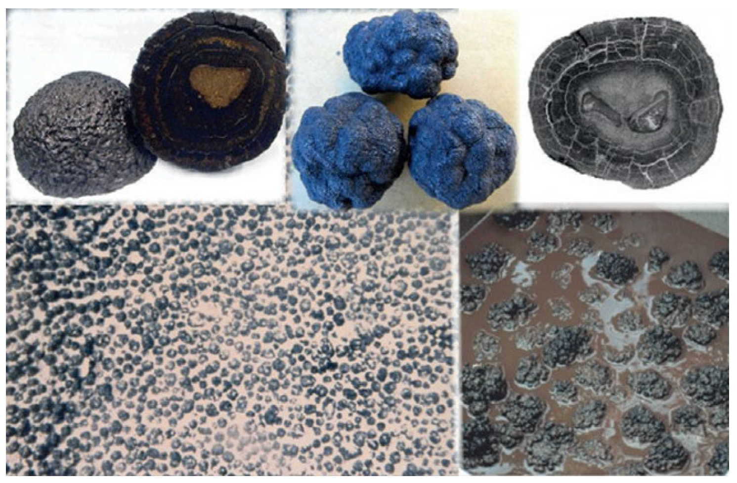 Applsci 13 12729 g001