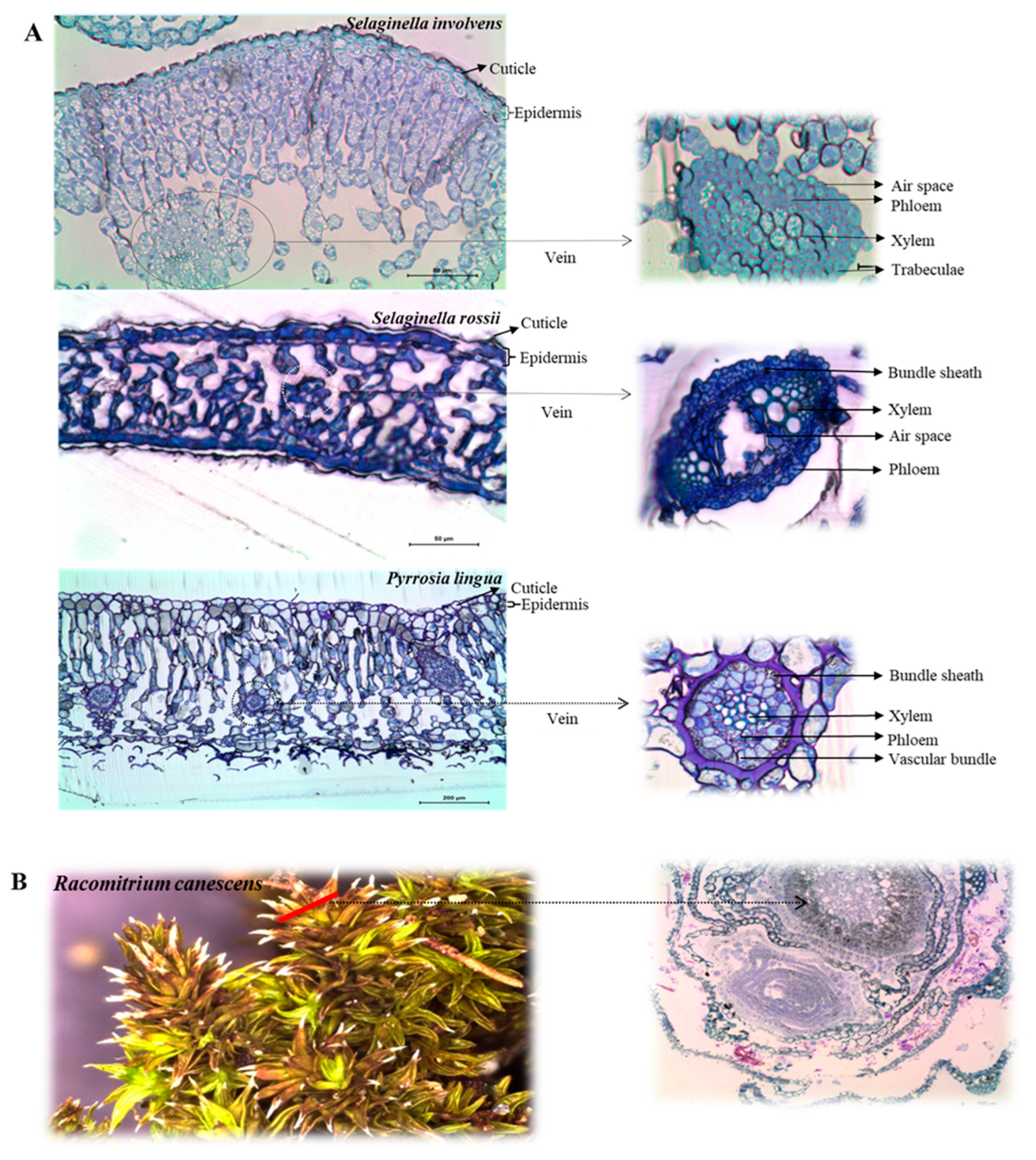 Applsci 13 12797 g002