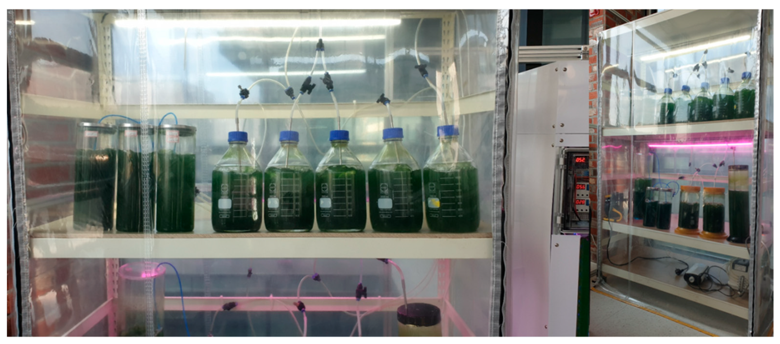 Applsci 13 12991 g005