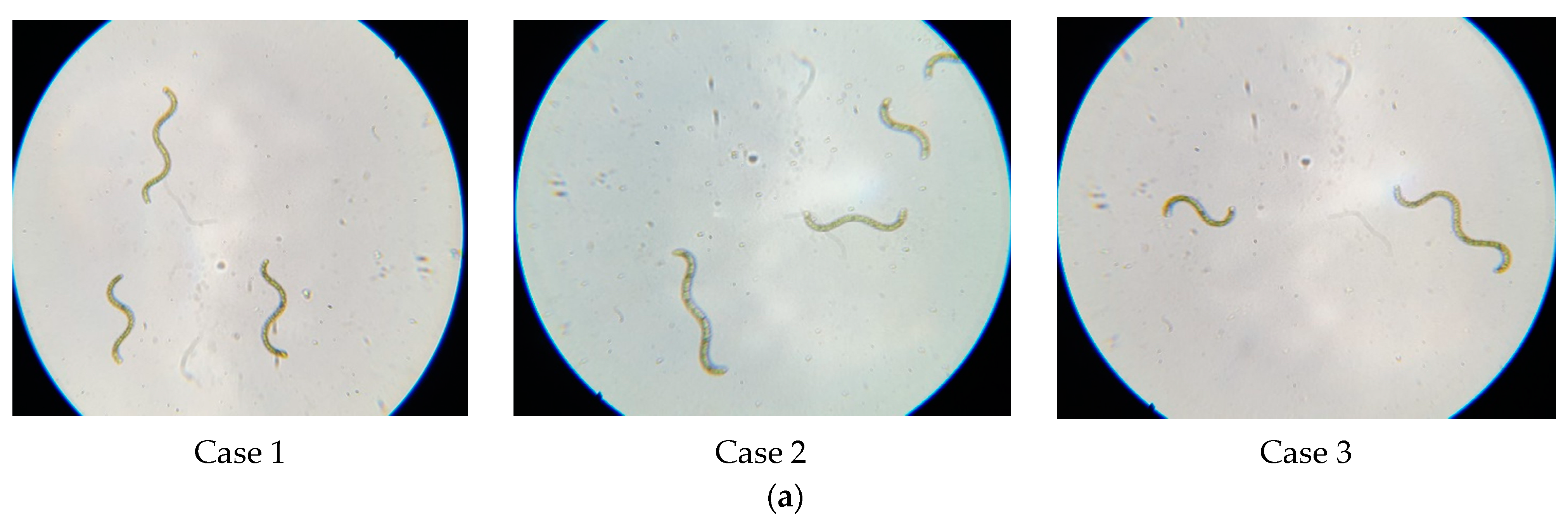 Applsci 13 12991 g009a