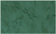 Applsci 13 12991 i002