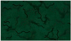 Applsci 13 12991 i006