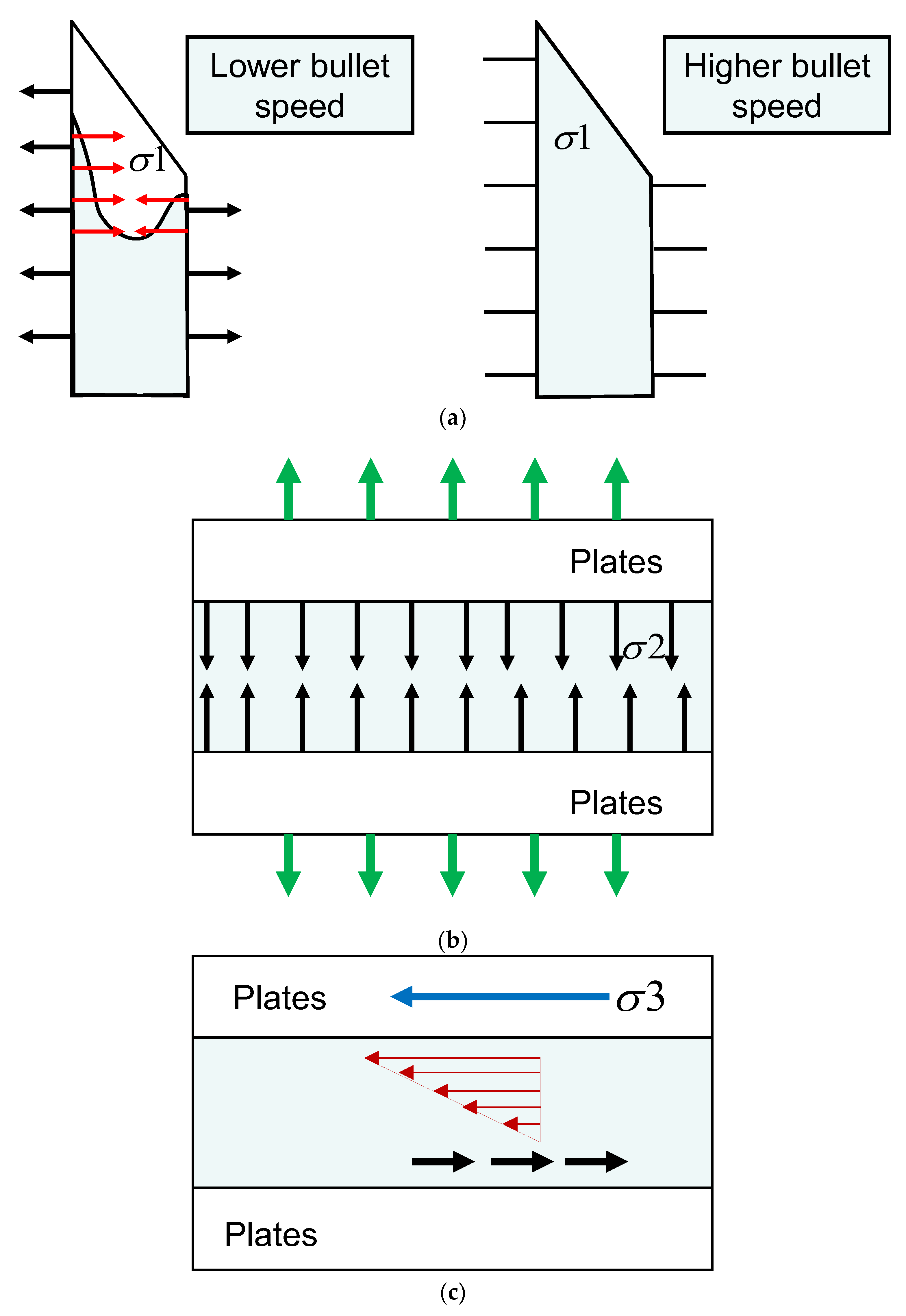 Applsci 13 13004 g015