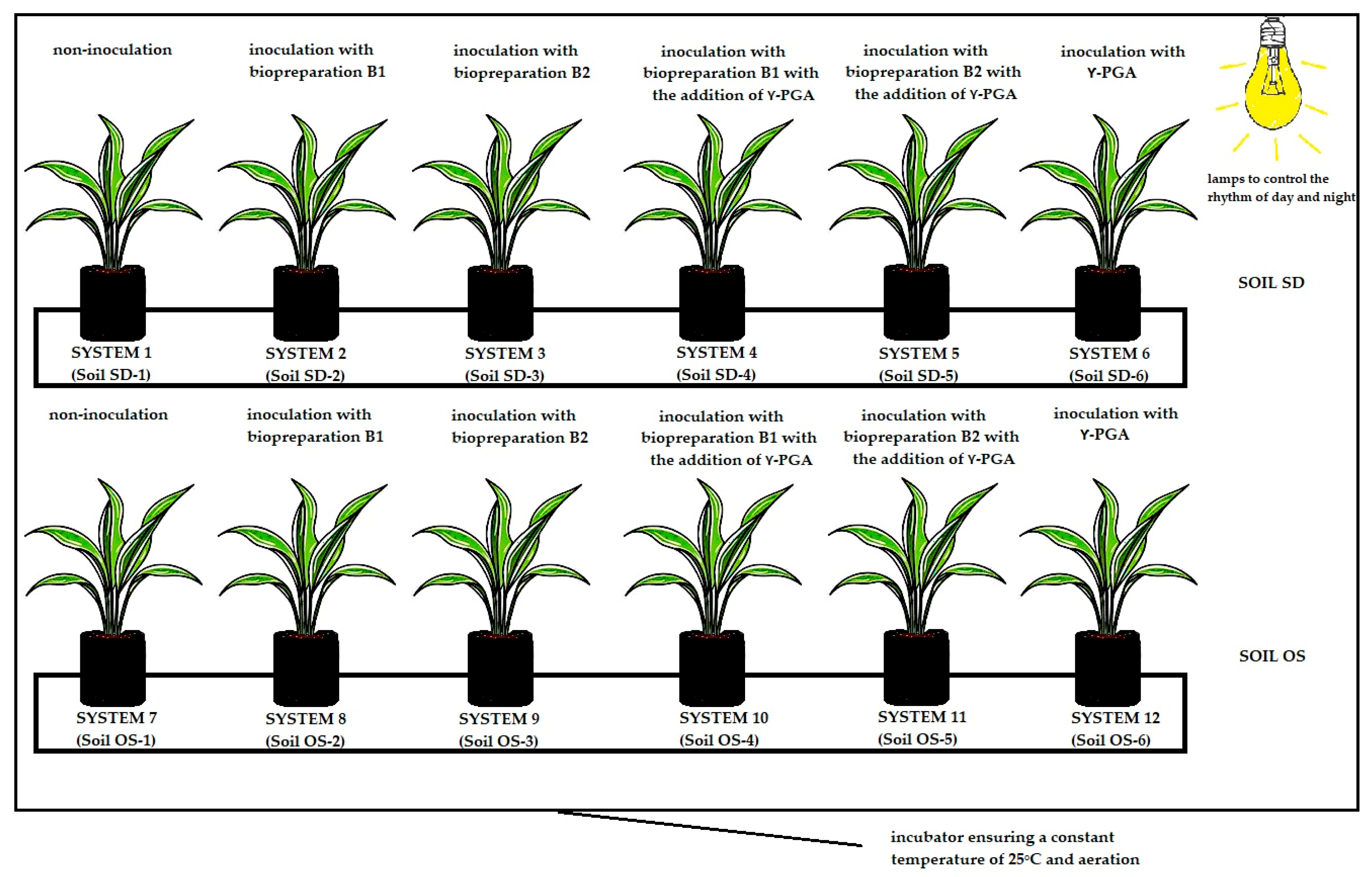 Applsci 13 13077 g001