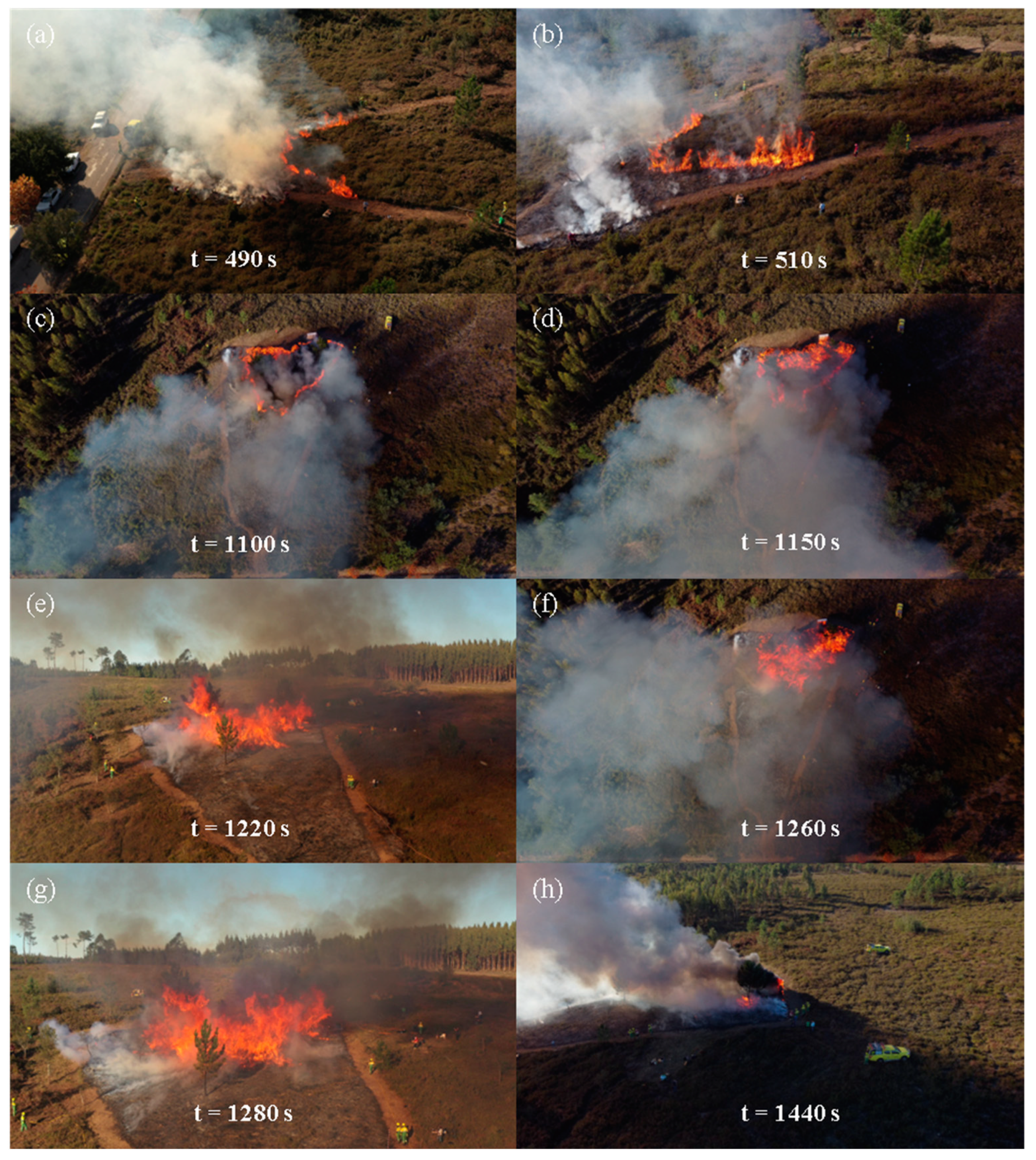 Applsci 13 13236 g005 Applsci 13 13236 g005