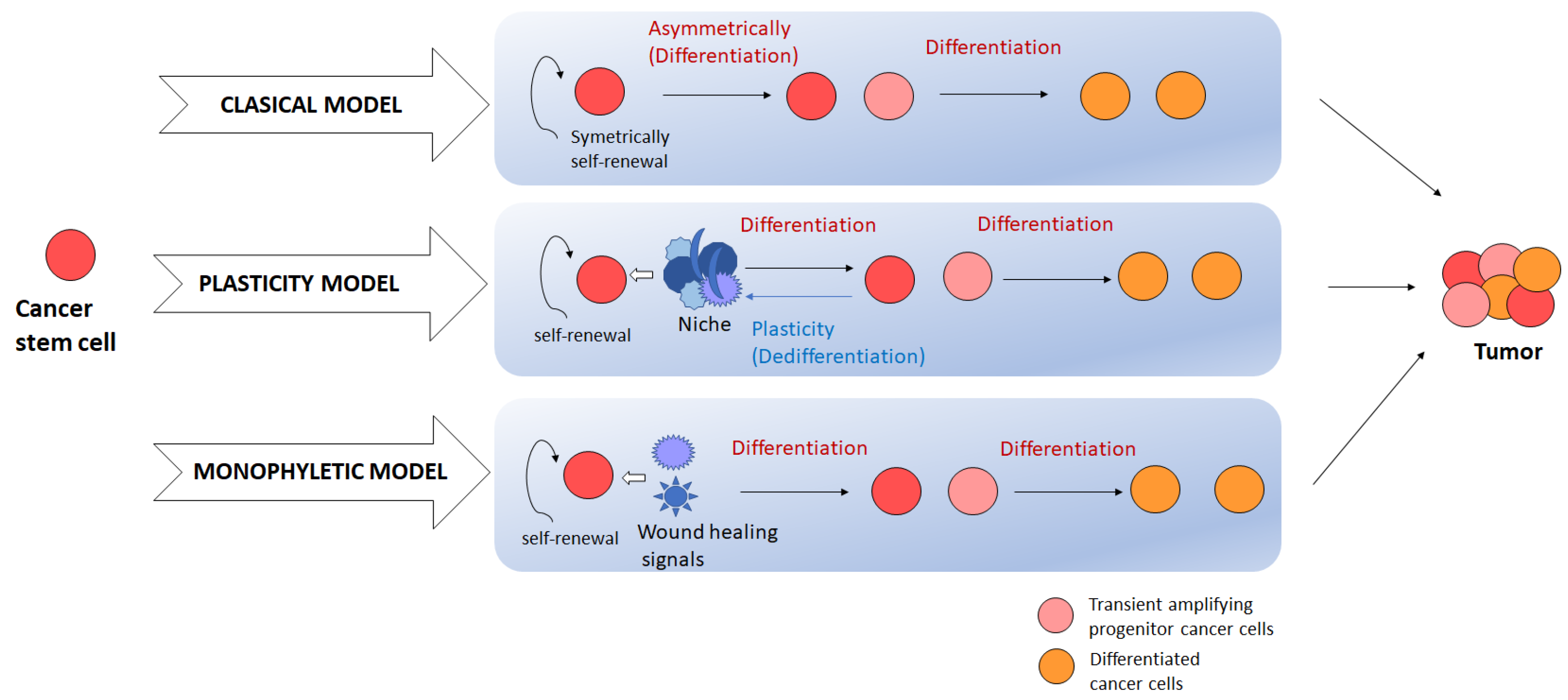 Applsci 13 13293 g001
