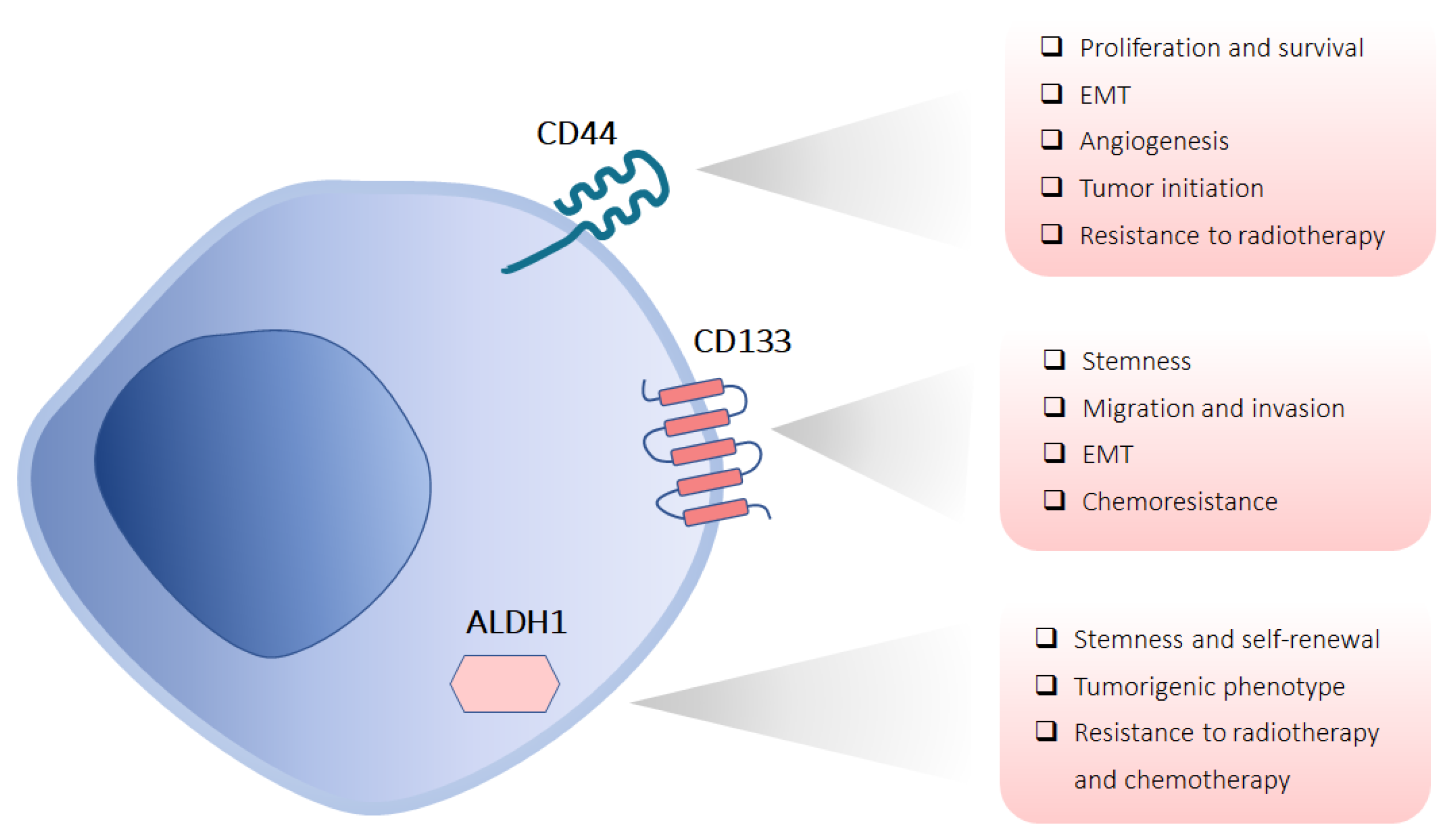 Applsci 13 13293 g002