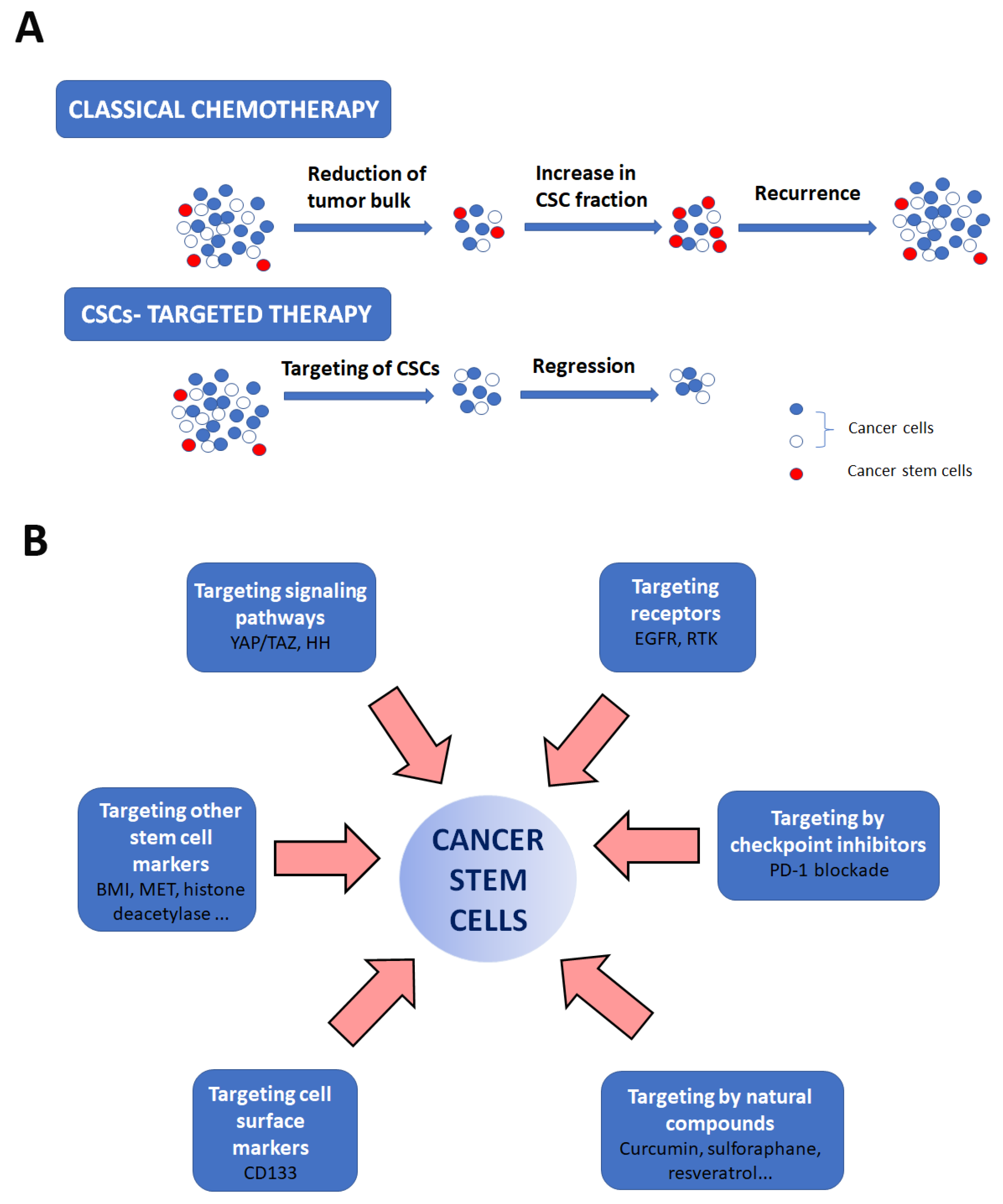 Applsci 13 13293 g003