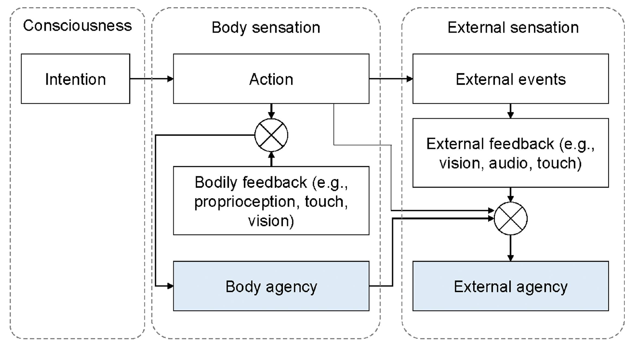 Applsci 13 13322 g002