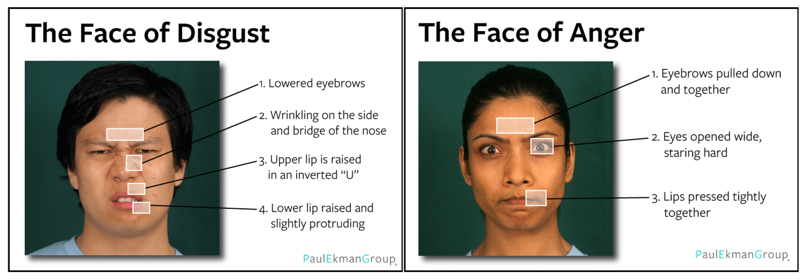 Applsci 13 13322 g003