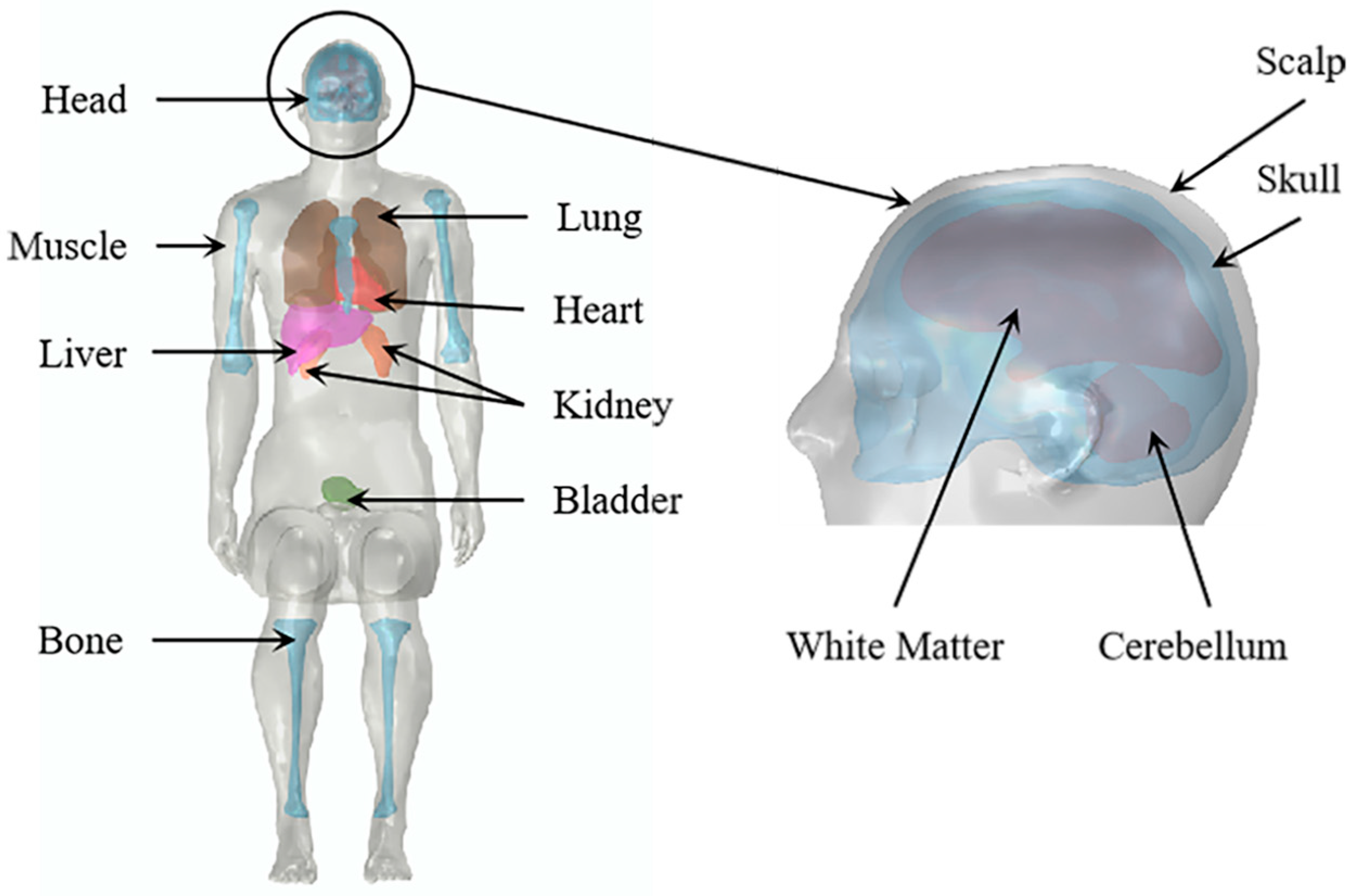 Applsci 14 00032 g003