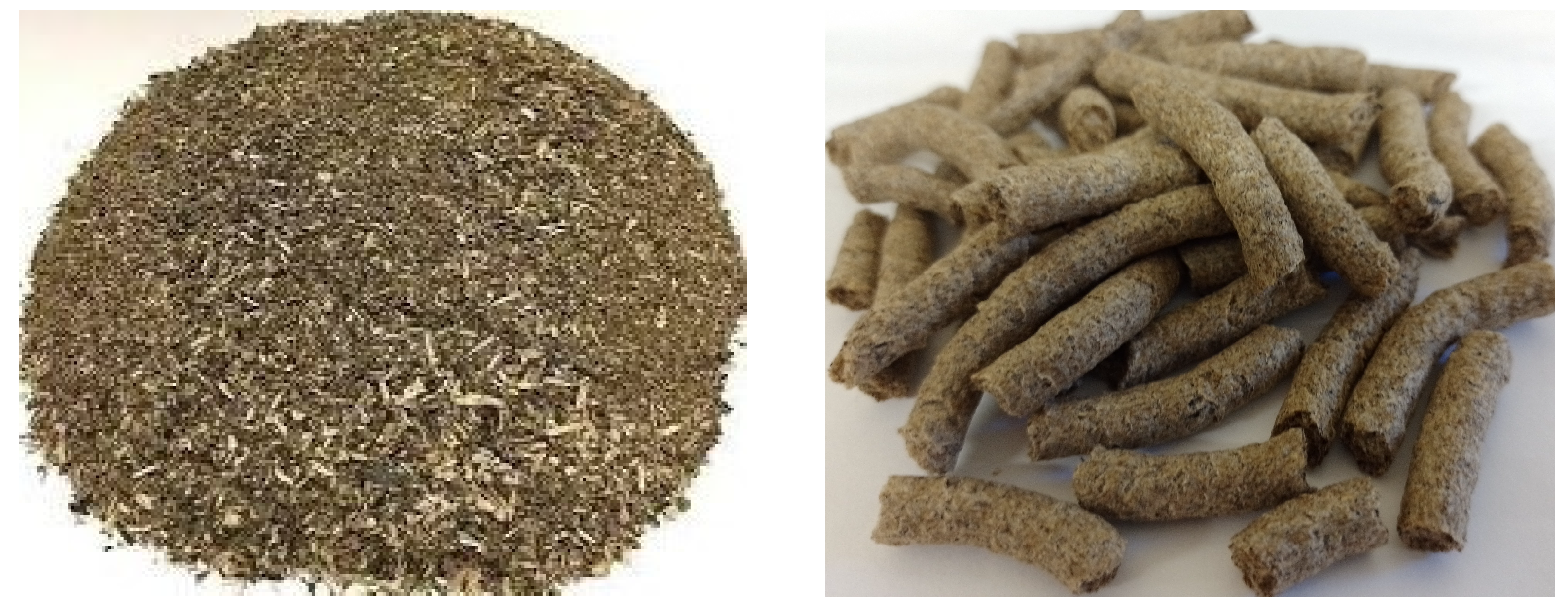 Applsci 14 00065 g006 Applsci 14 00065 g006