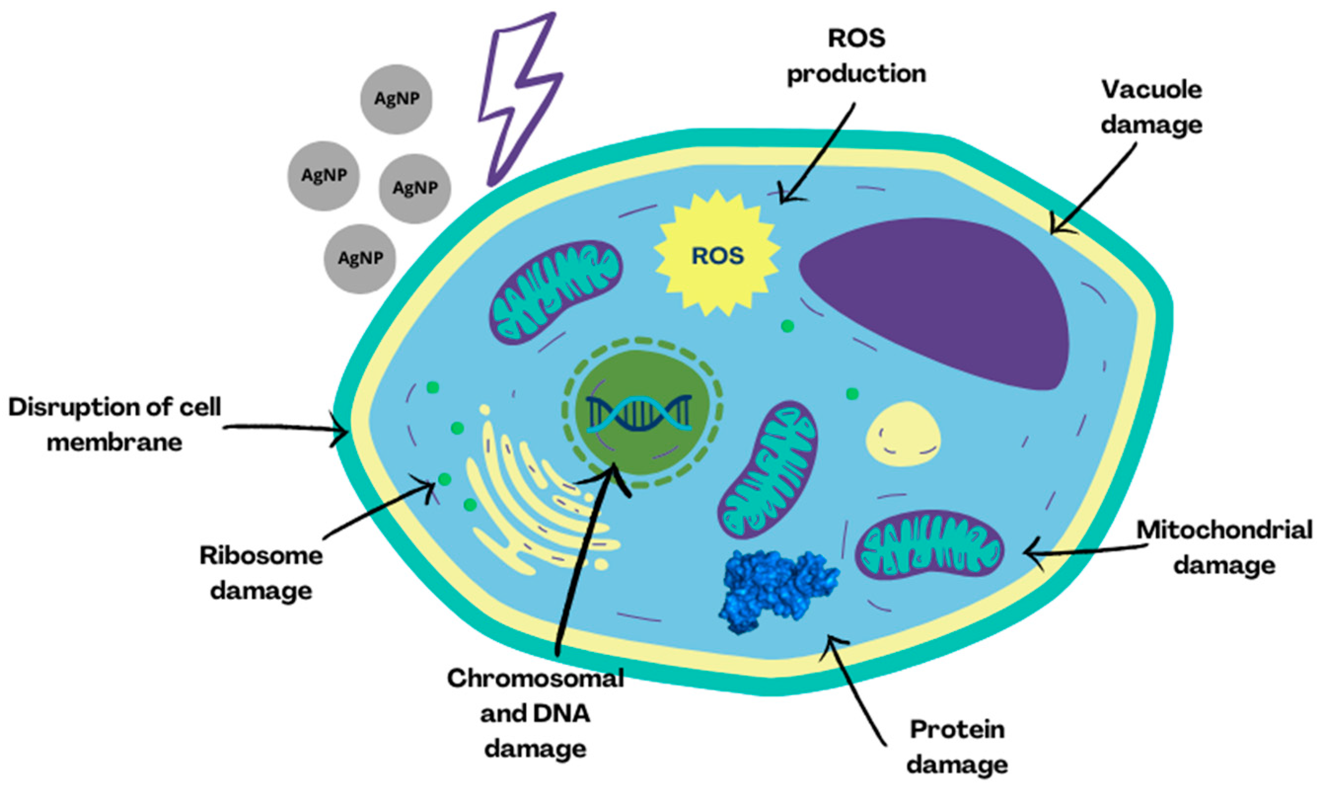 Applsci 14 00115 g005