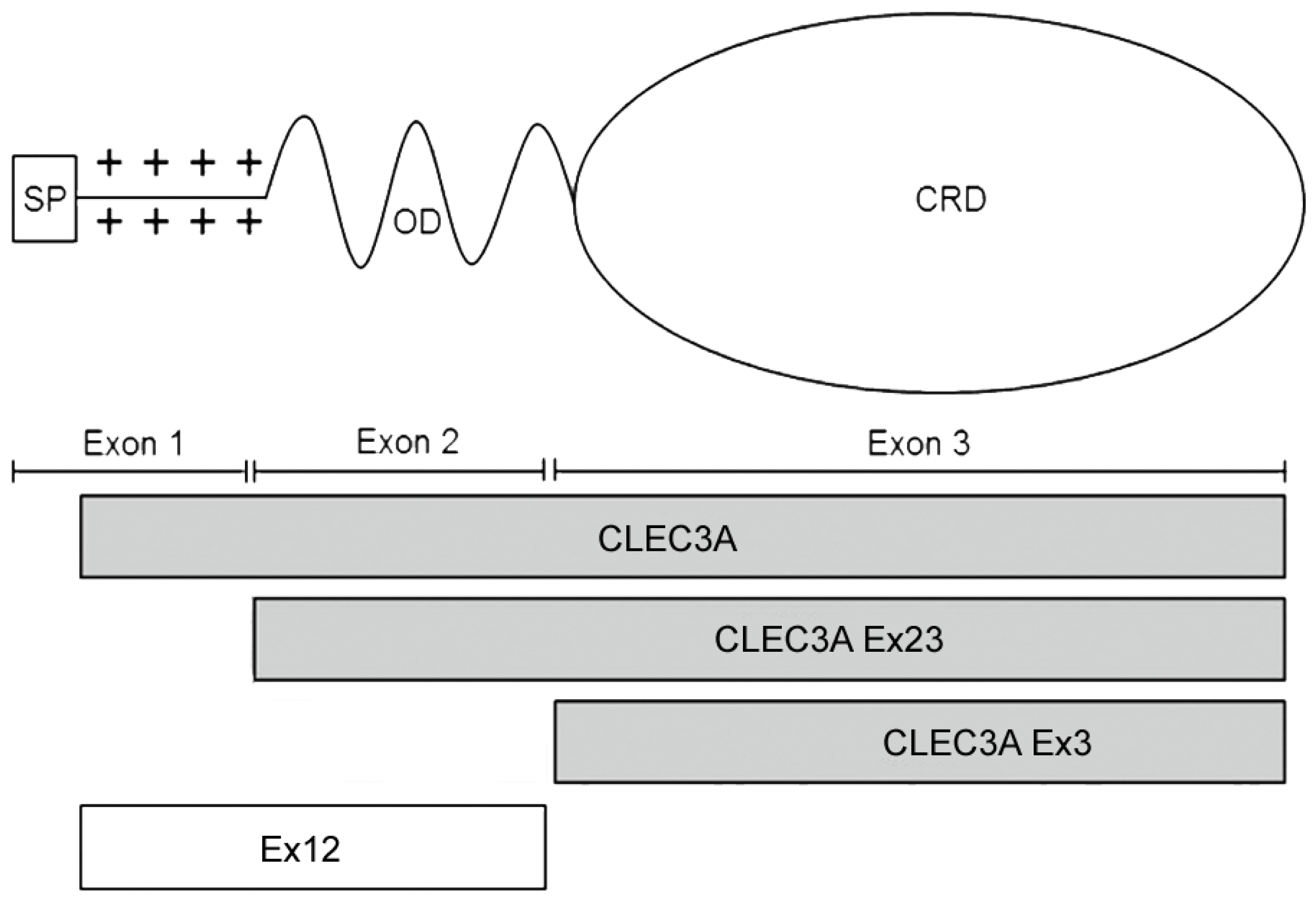 Applsci 14 00184 g001
