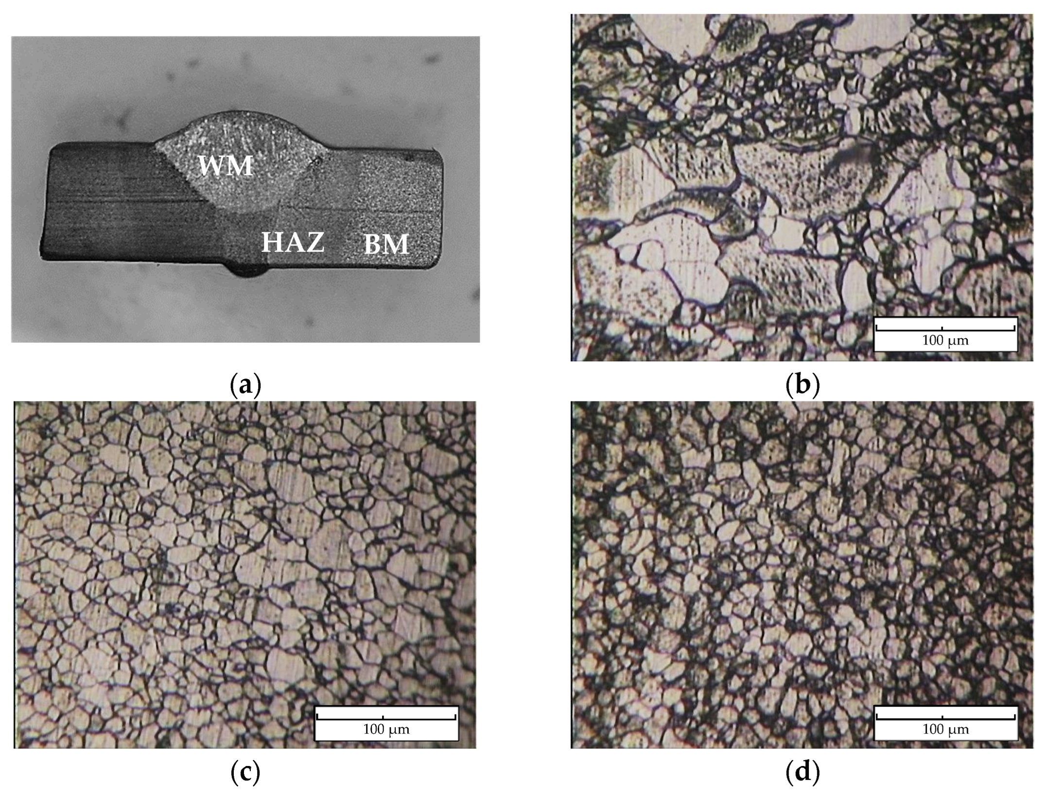 Applsci 14 00266 g005