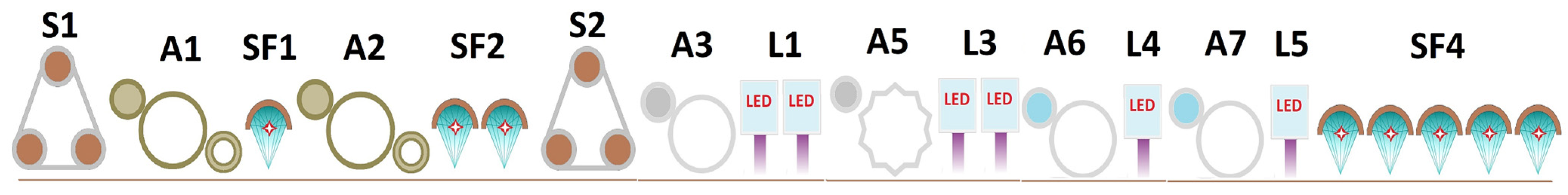 Applsci 14 00304 g001