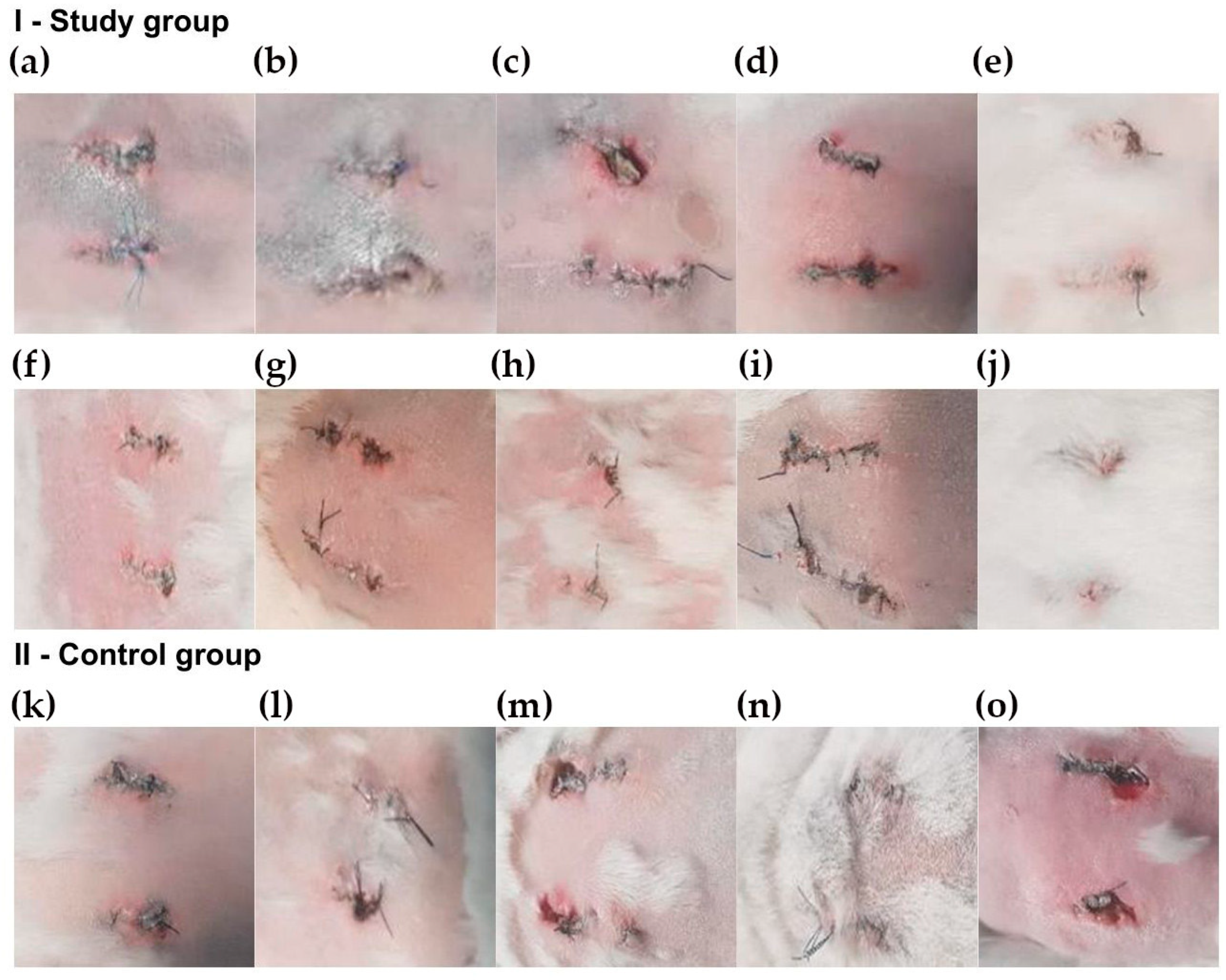 Applsci 14 00383 g005