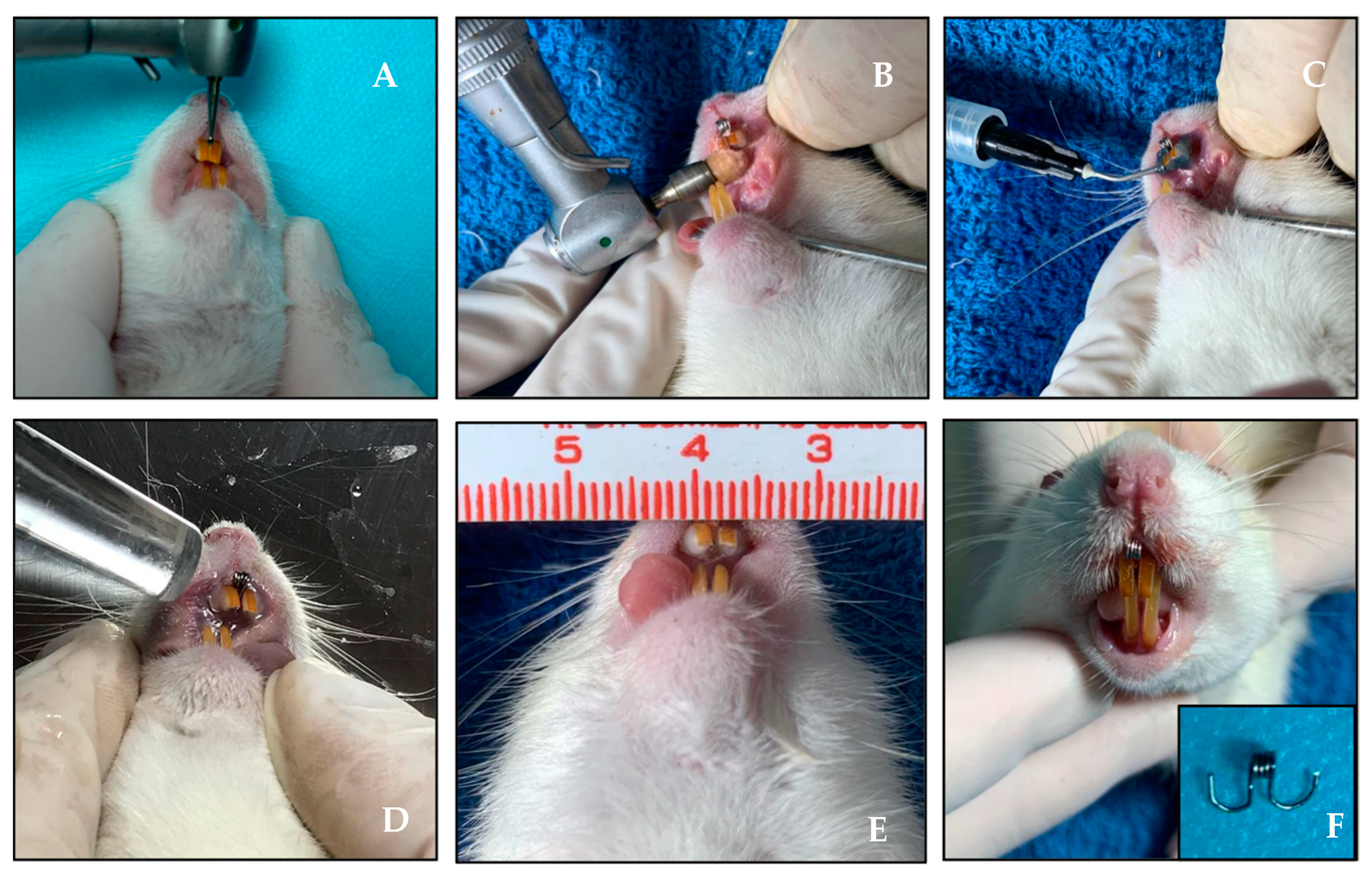 Applsci 14 00430 g002