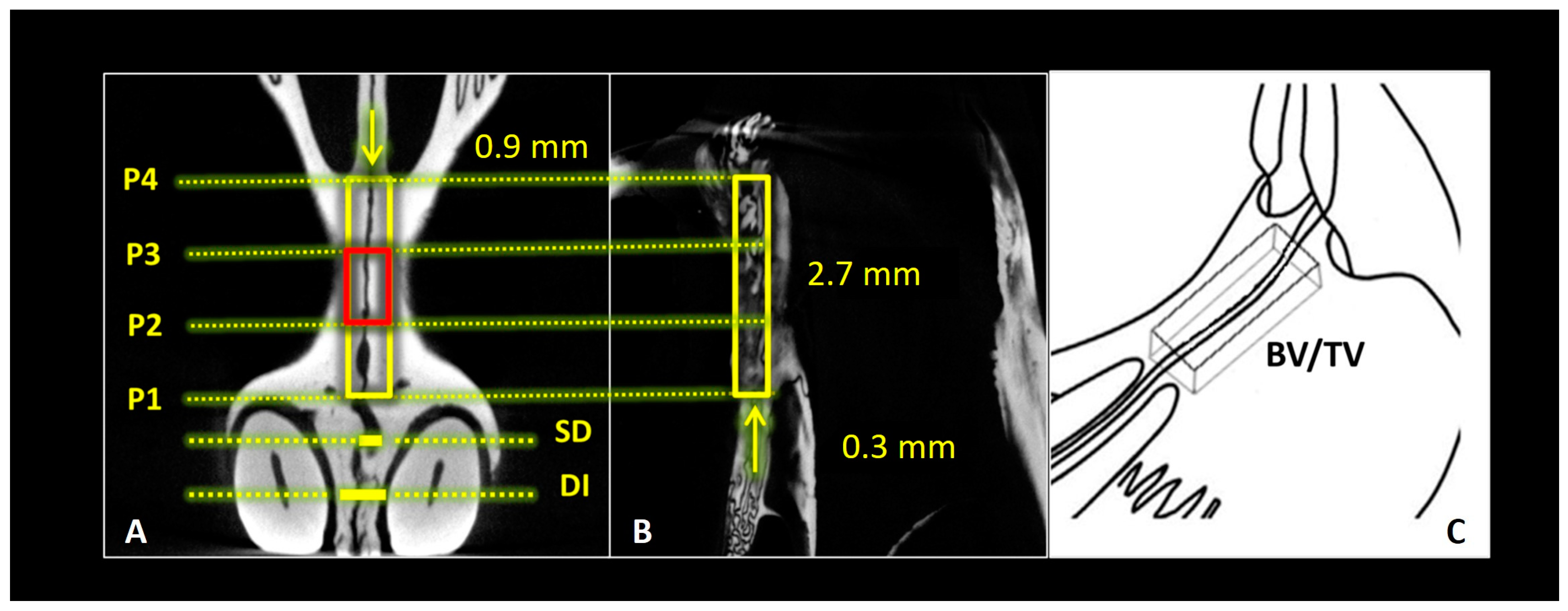 Applsci 14 00430 g003