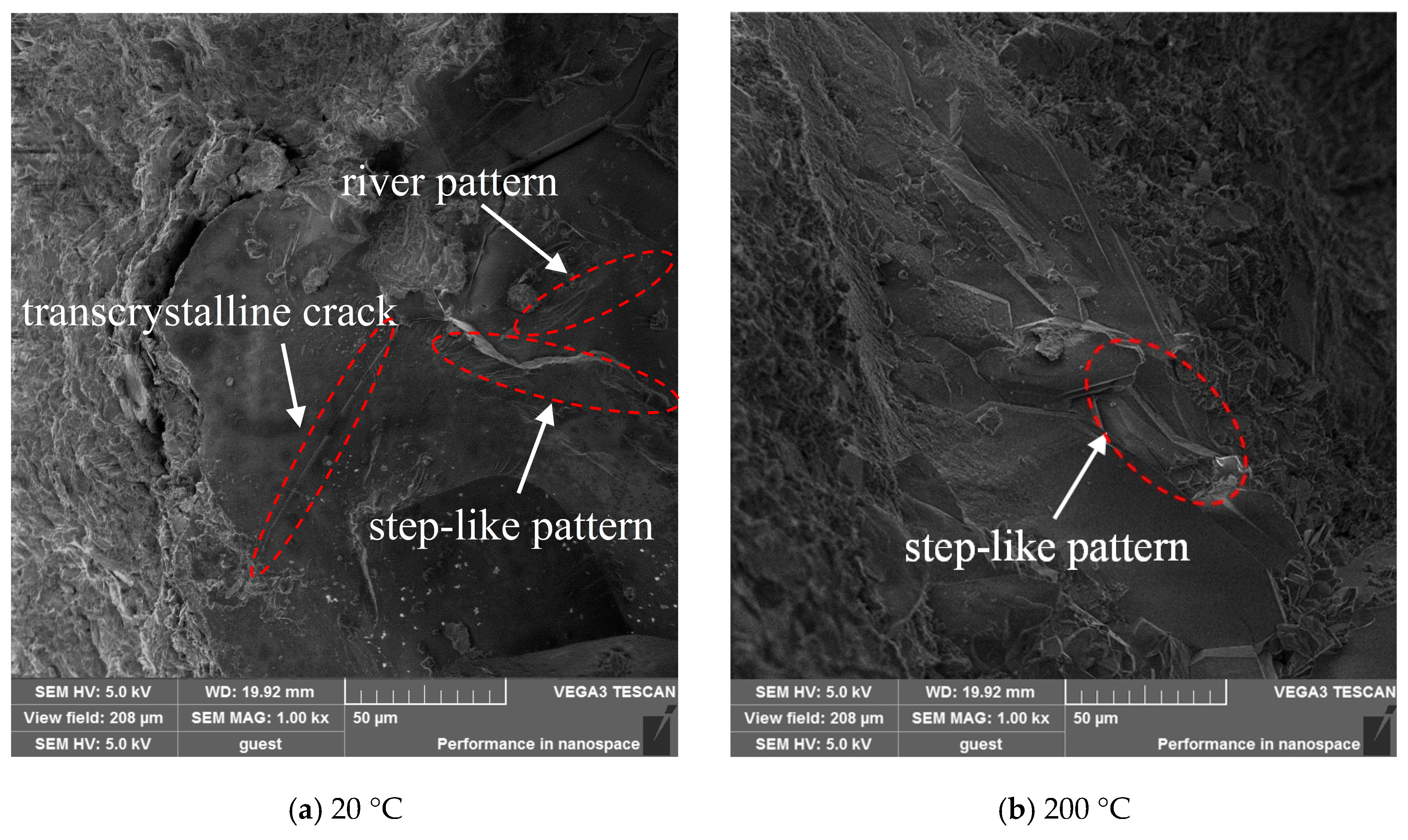 Applsci 14 00444 g016a