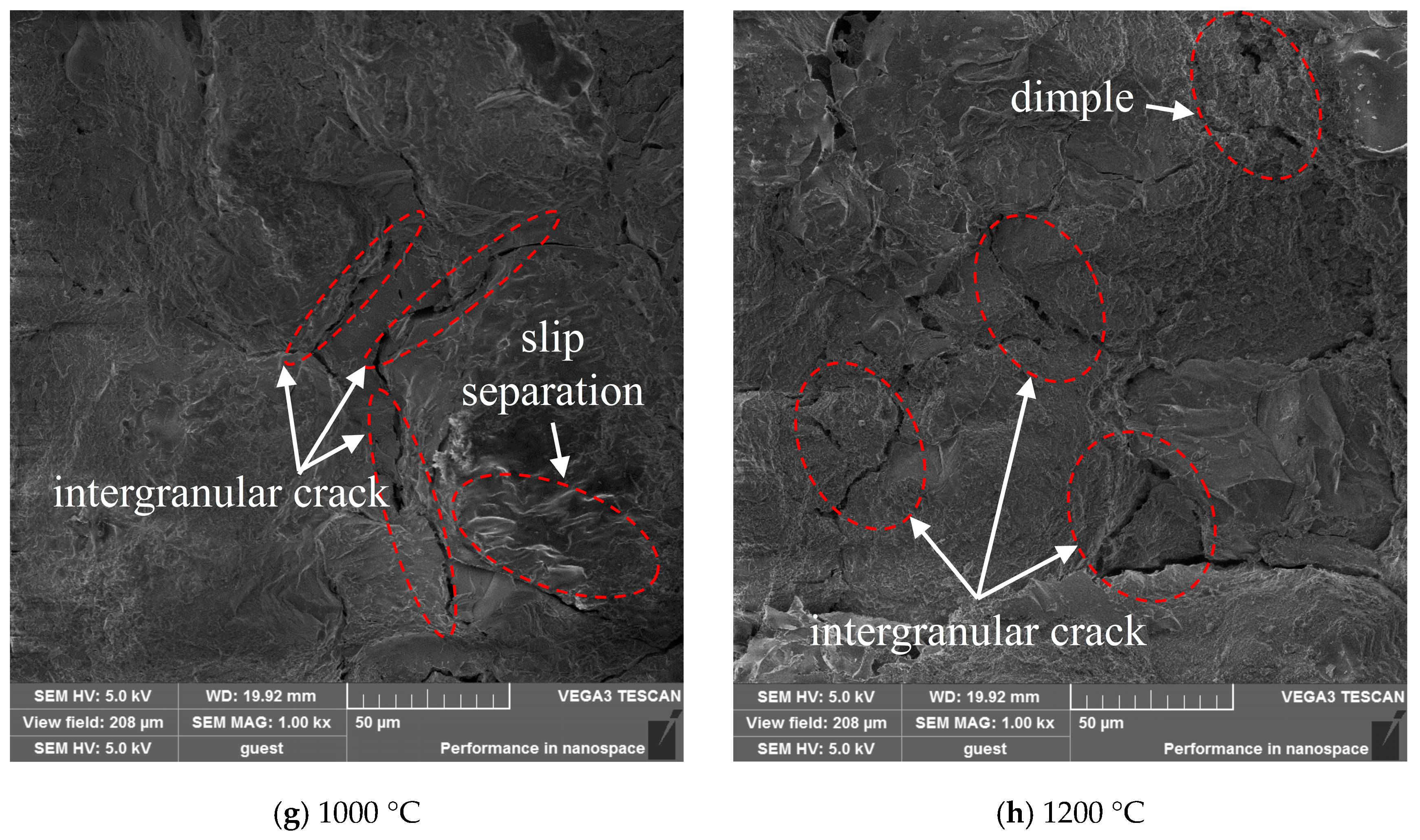 Applsci 14 00444 g016c