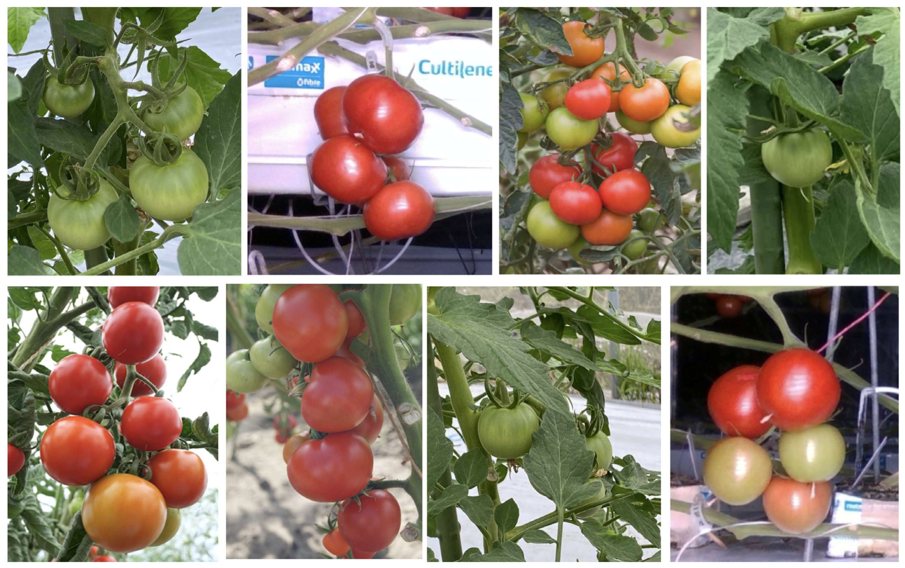 Applsci 14 00511 g001