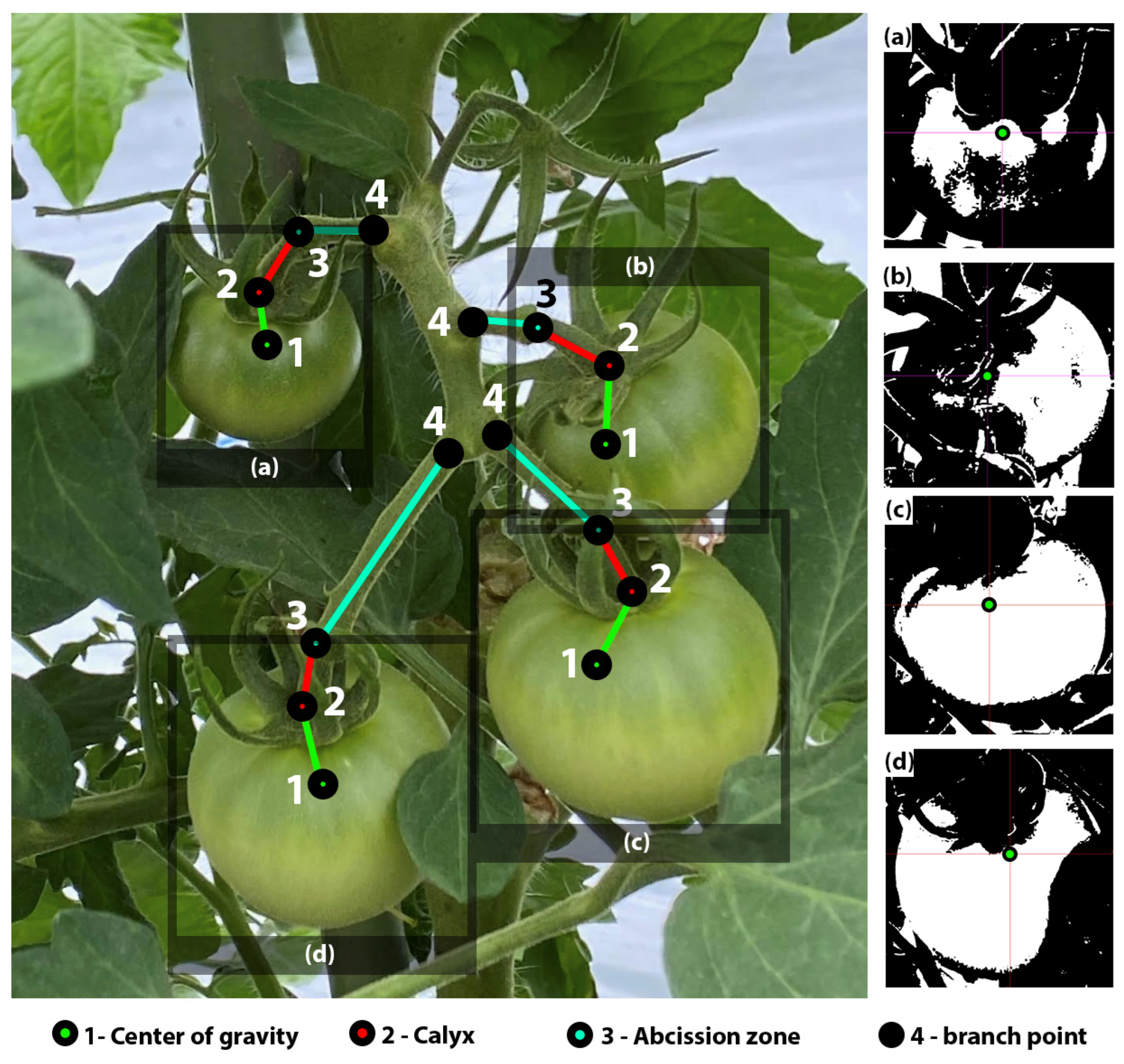 Applsci 14 00511 g005