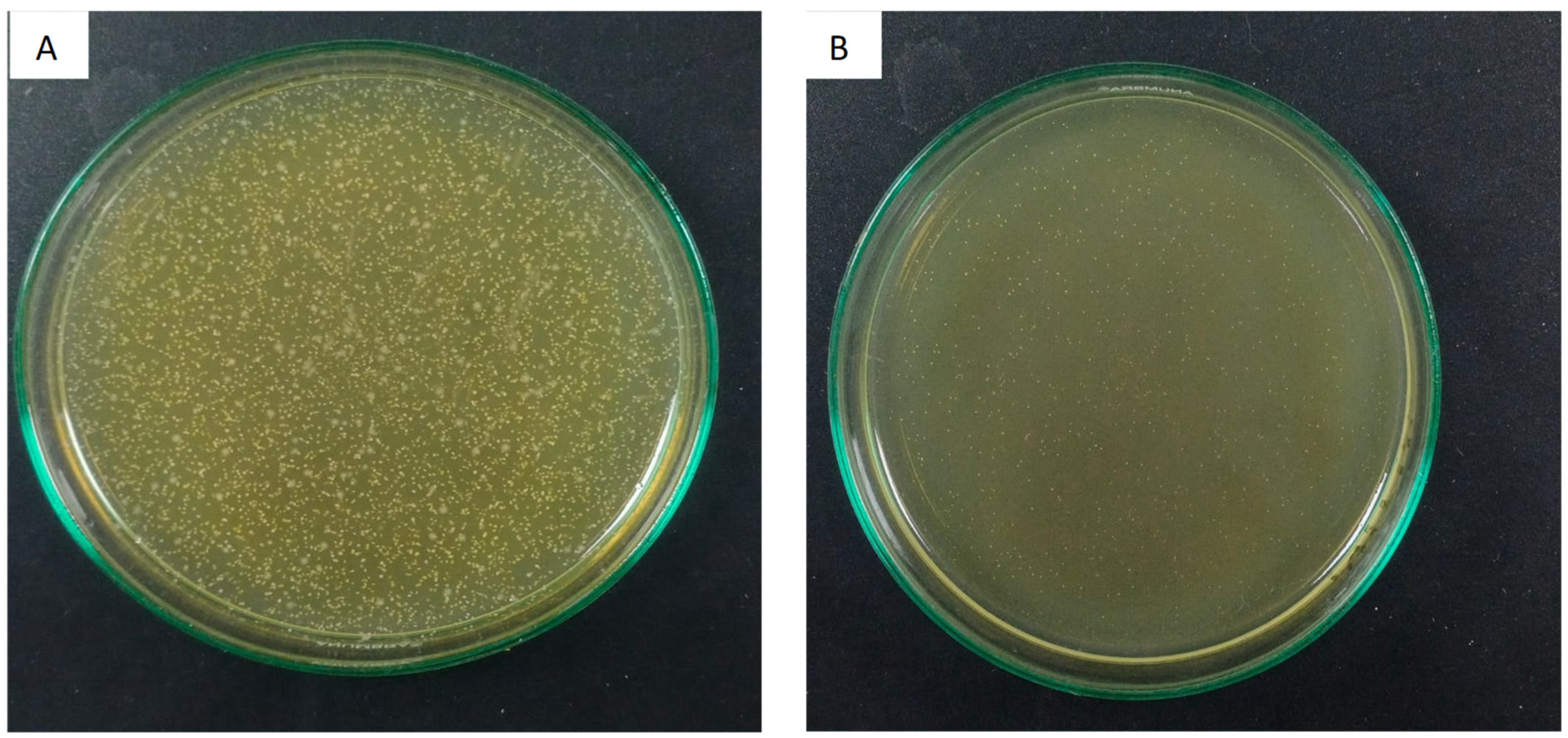 Applsci 14 00563 g003