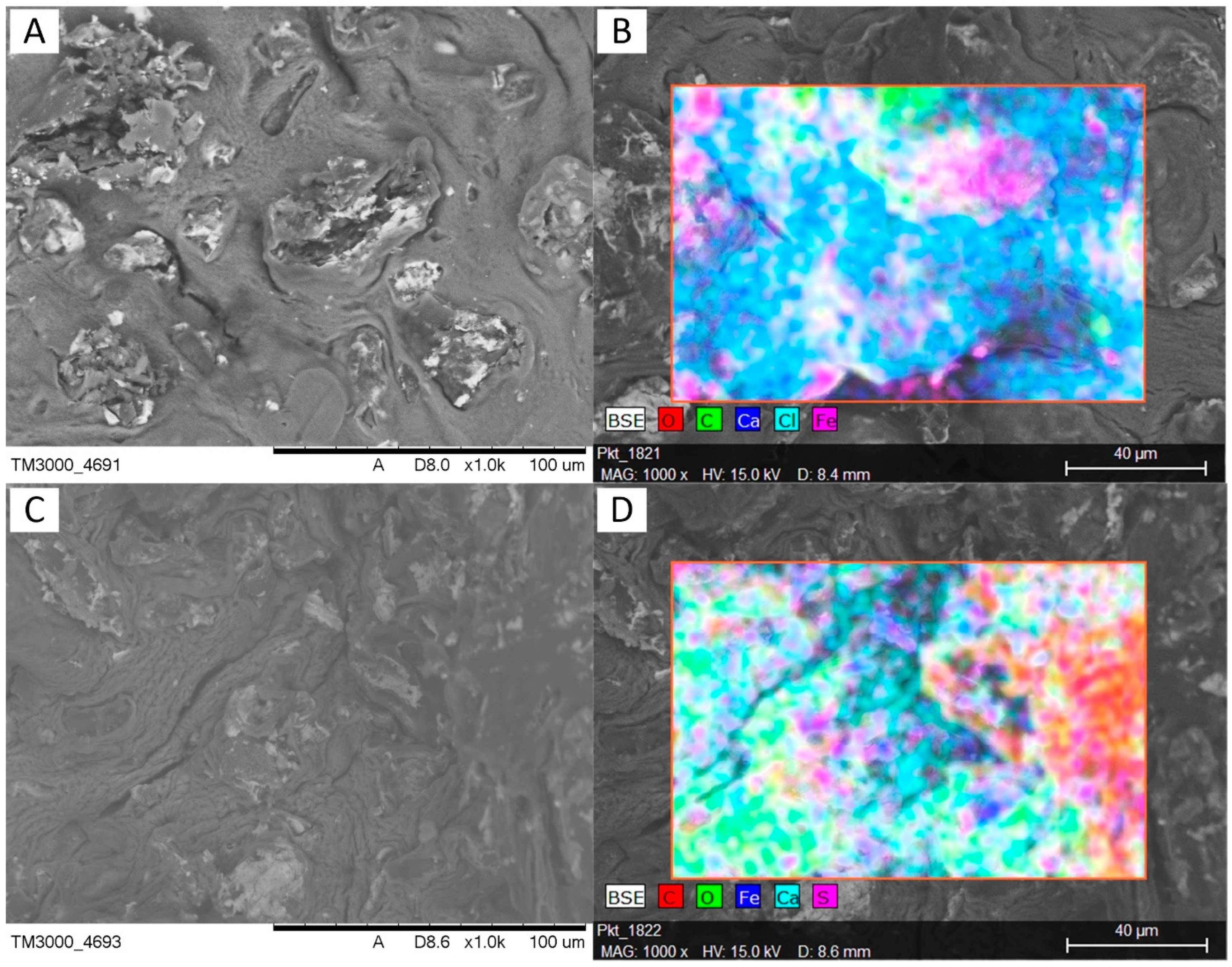 Applsci 14 00655 g003