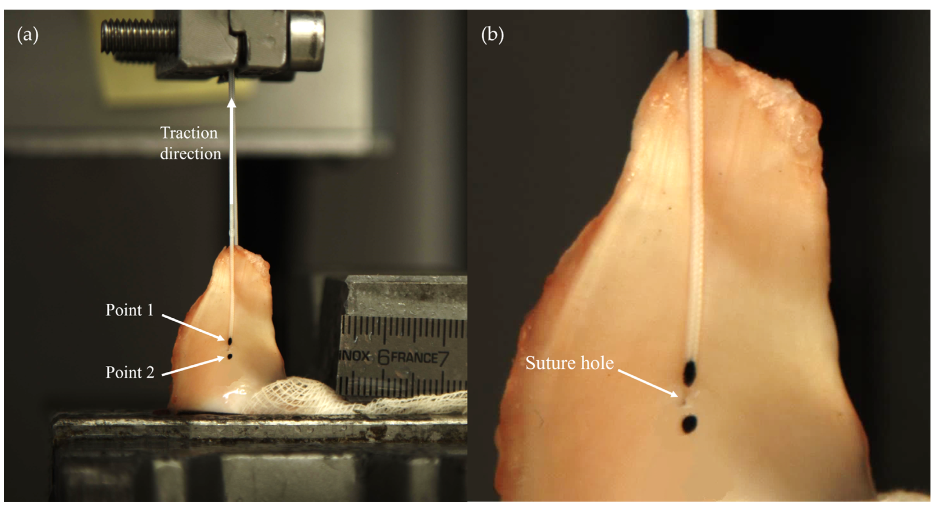Applsci 14 00670 g002