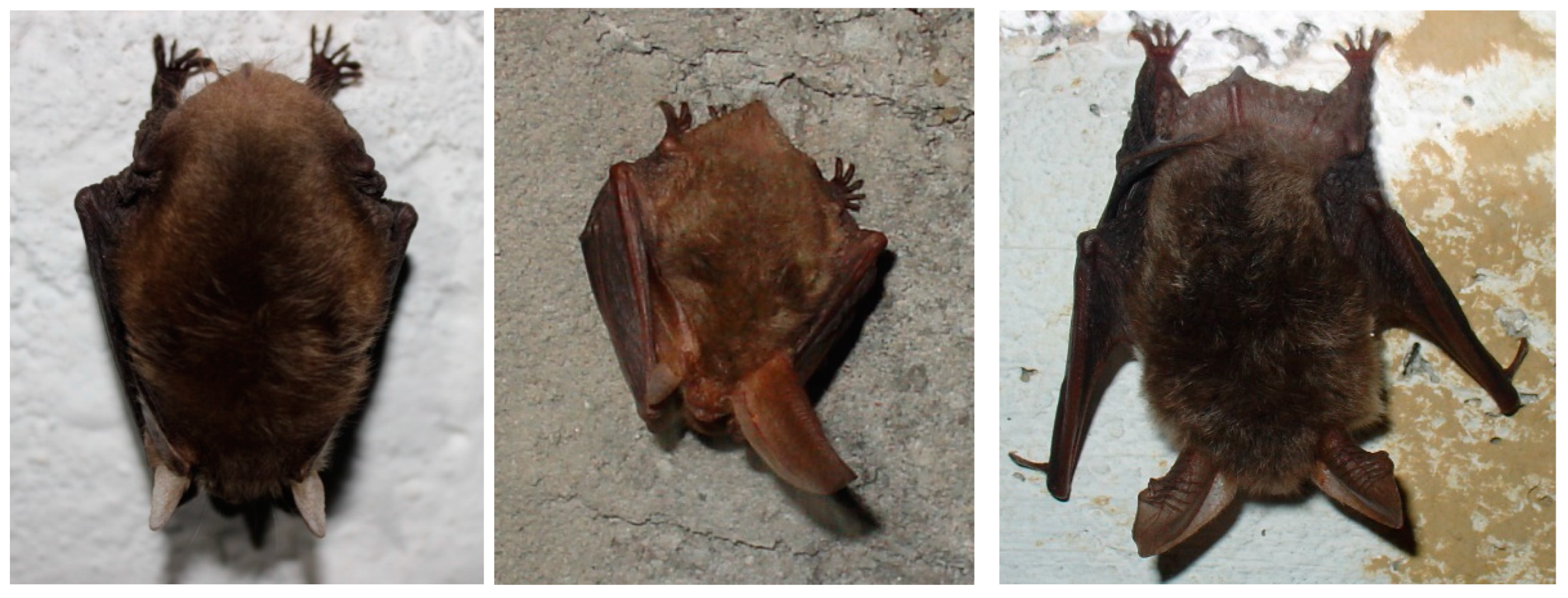 Applsci 14 00716 g002